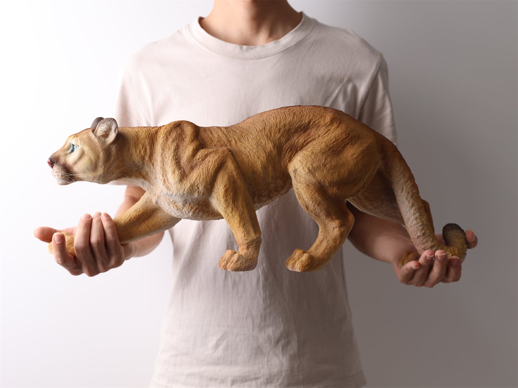 BOWUZHI Studio  1:6 Scale Cougar Model