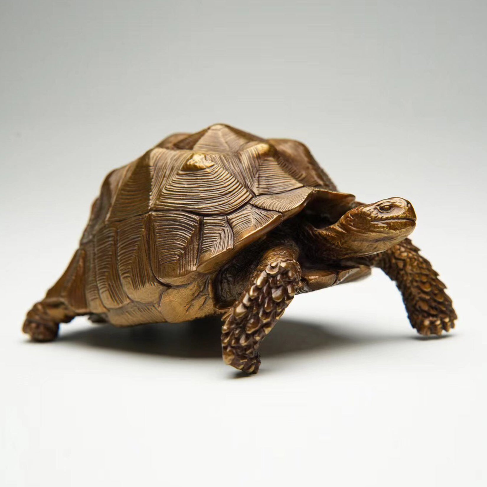 BOWUZHI Studio Sahel Tortoise Bronze Edition Model
