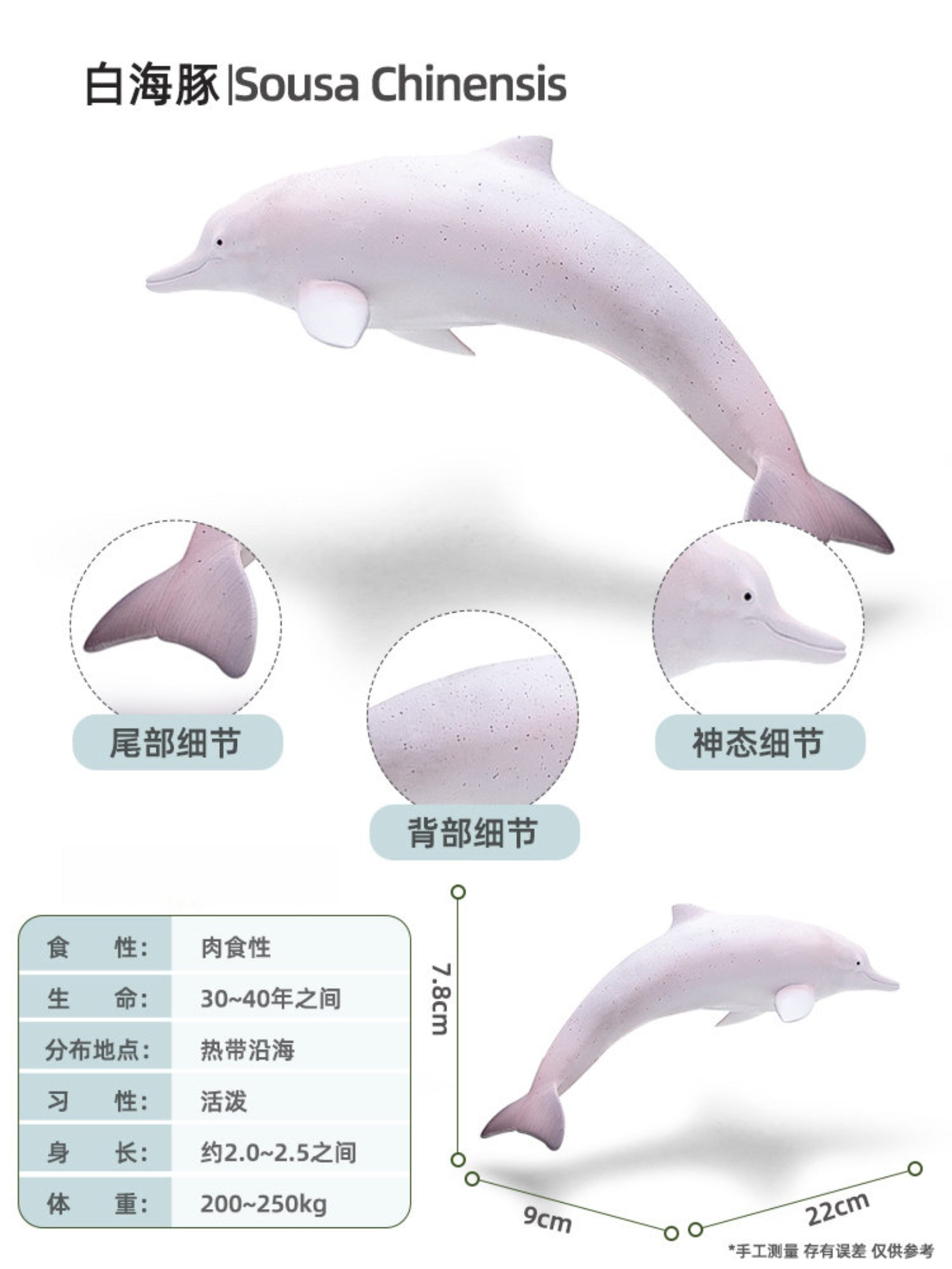 RECUR Dolphin Model Marine Animal