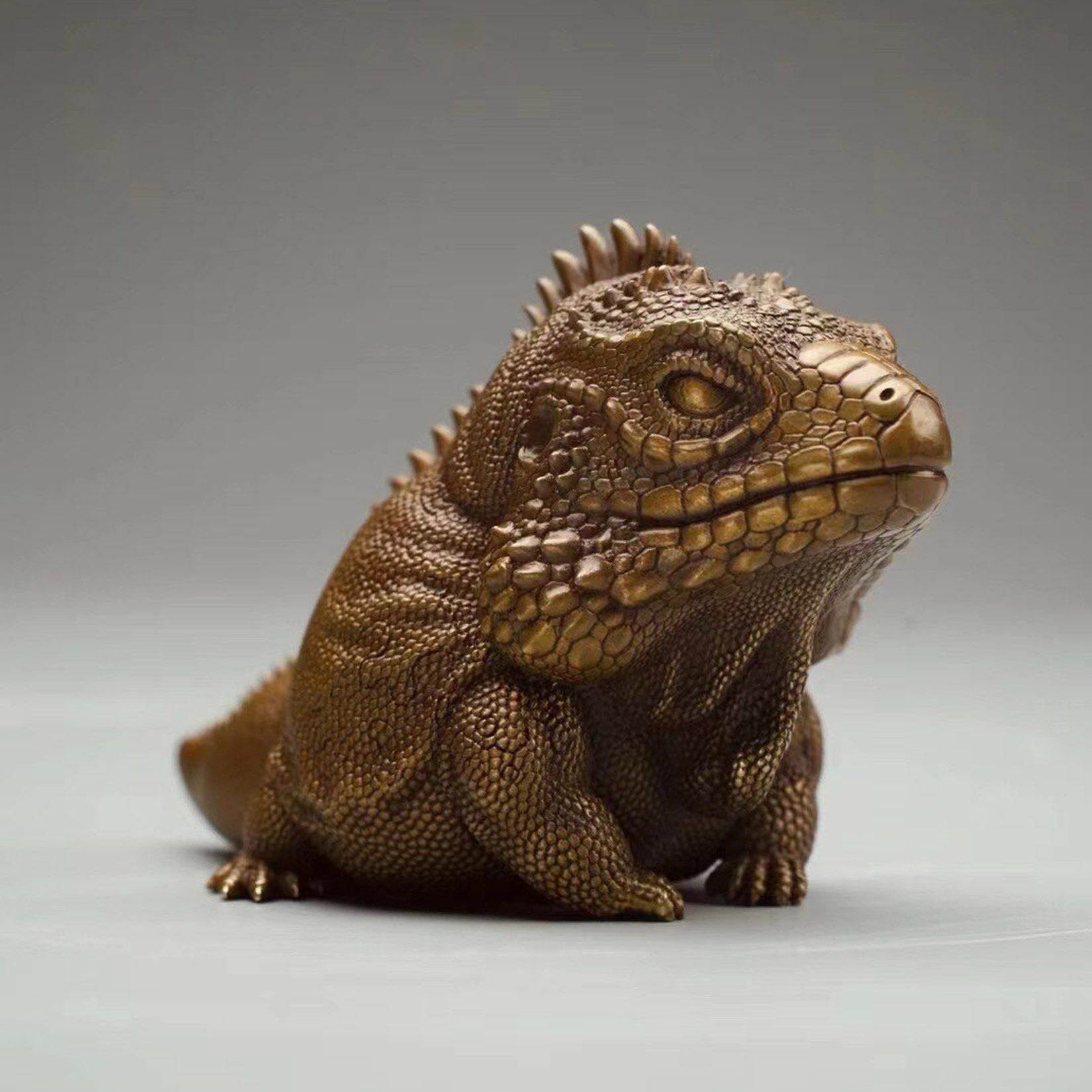 BOWUZHI Studio Bronze Cyclura lewisi Model
