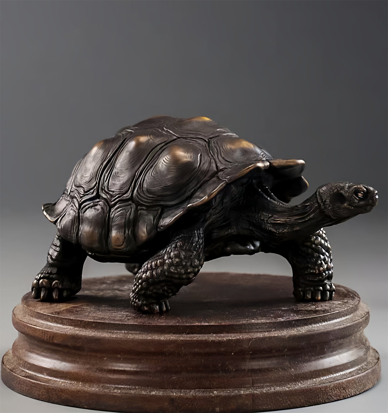 BOWUZHI Studio Plus Chelonoidis Galapagoensis Model 