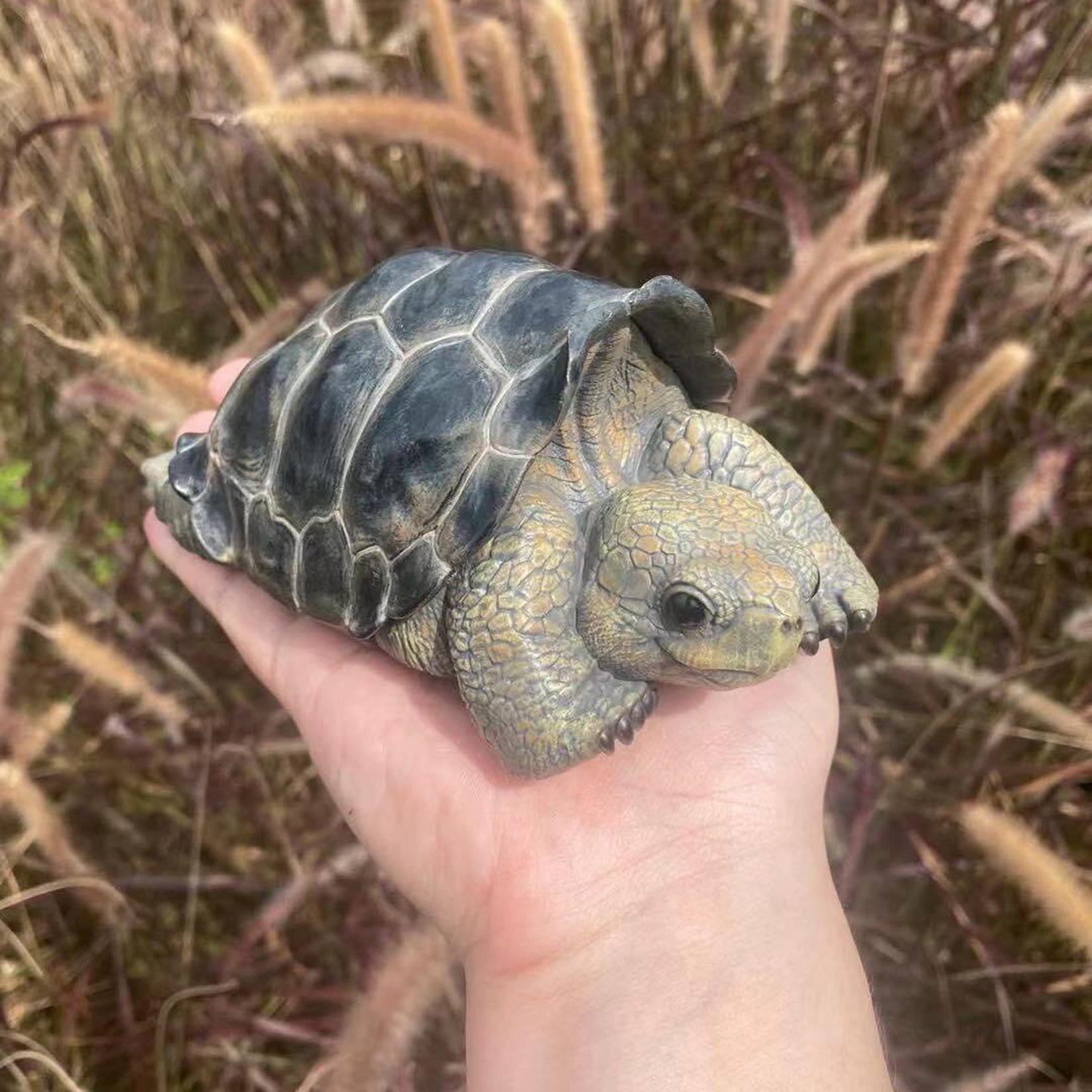 BOWUZHI Studio Galapagos Giant Tortoise Model