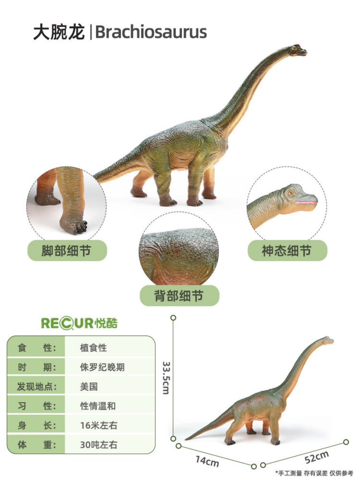 RECUR Brachiosaurus Dinosaur Animal Model