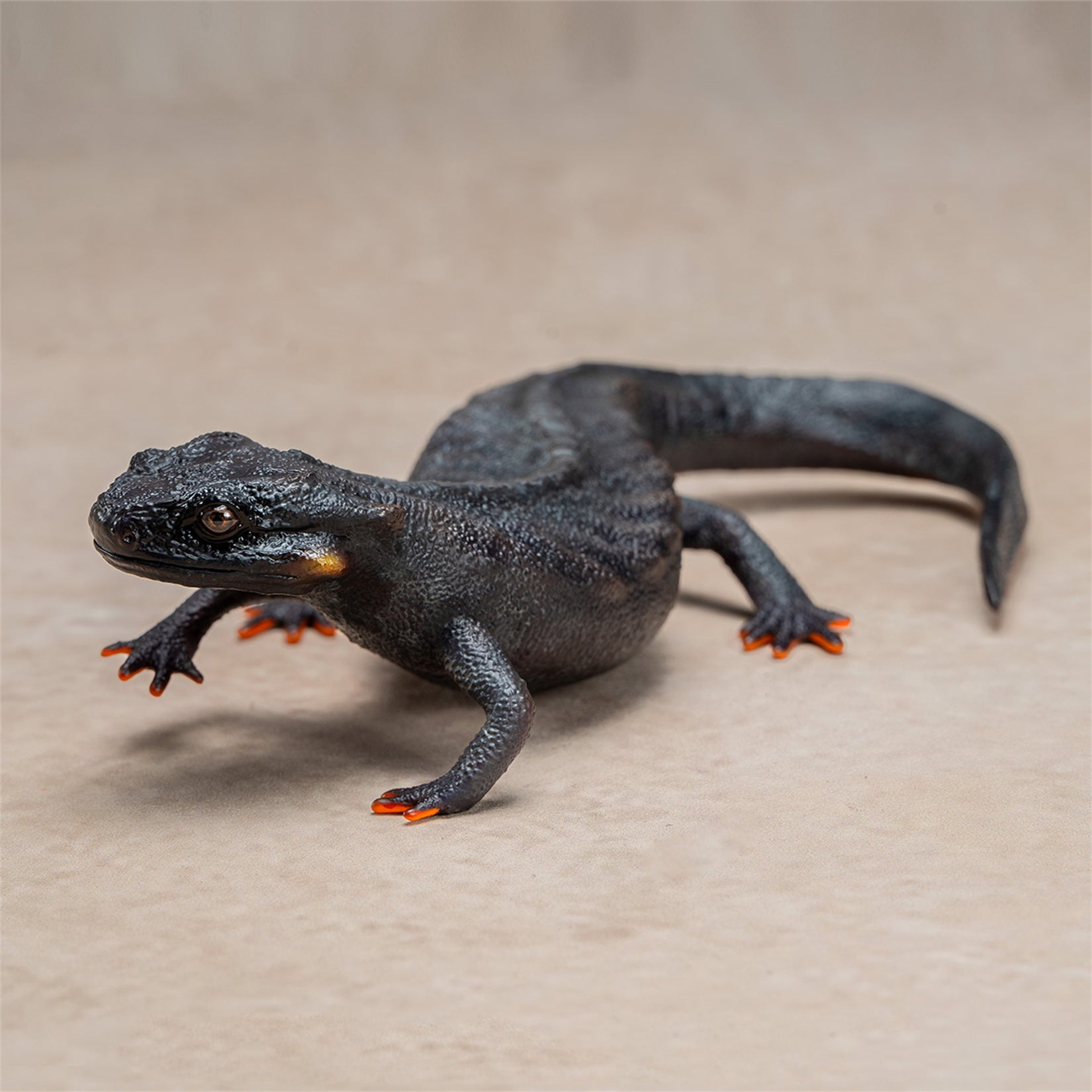 Echinotriton Chinhaiensis Model