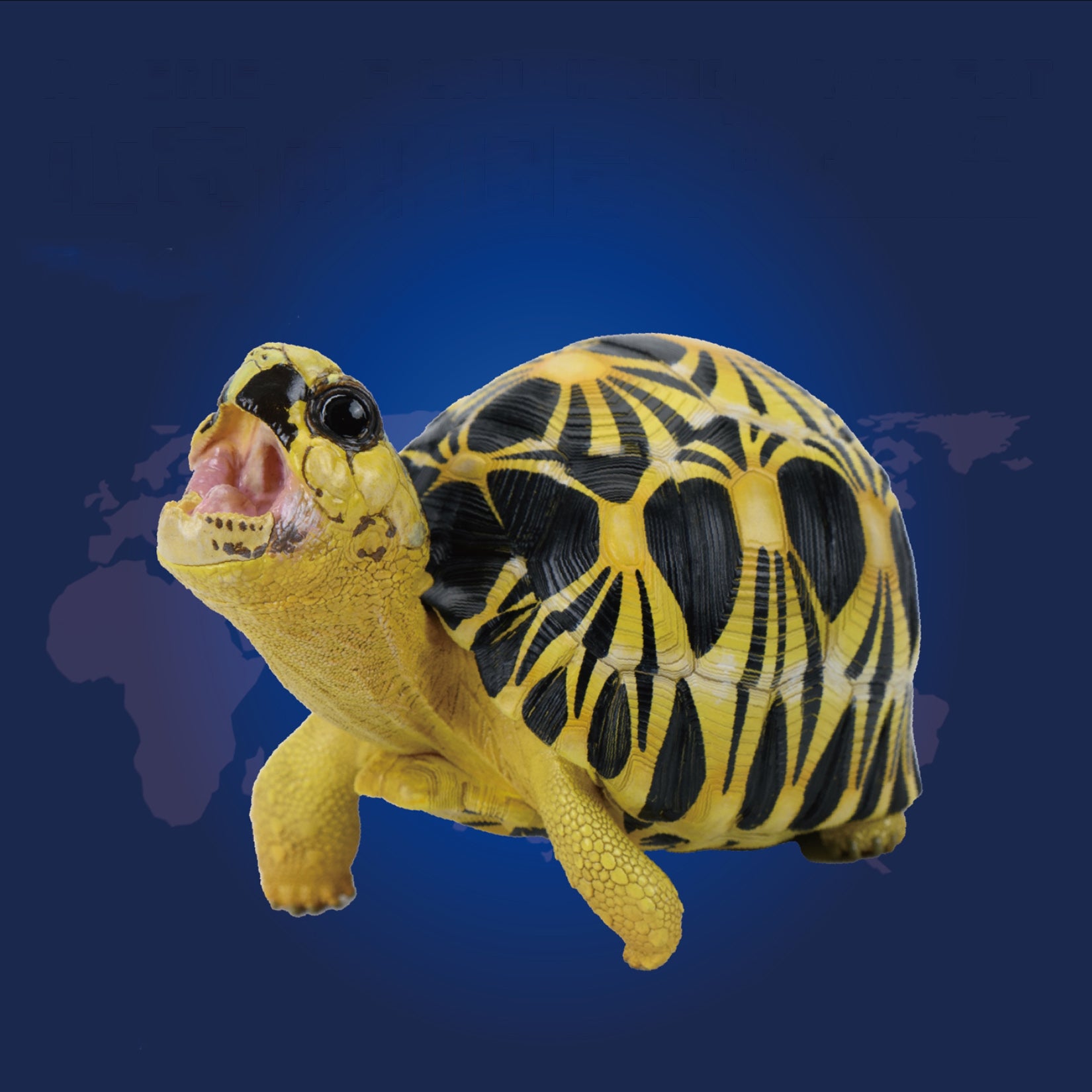 Animal Heavenly Body  Geochelone Radiata Turtle Figurine