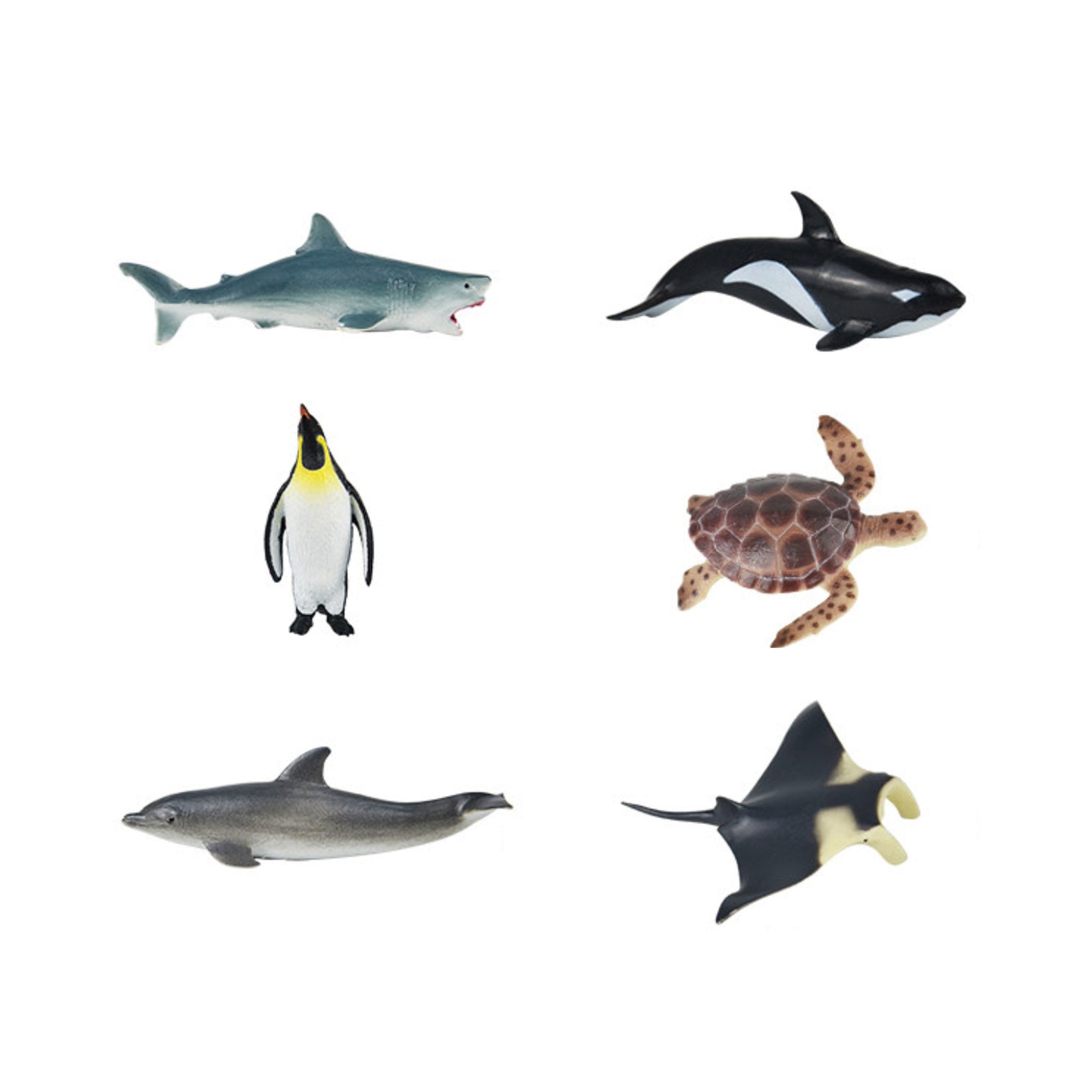 RECUR  Marine Animal Model Set