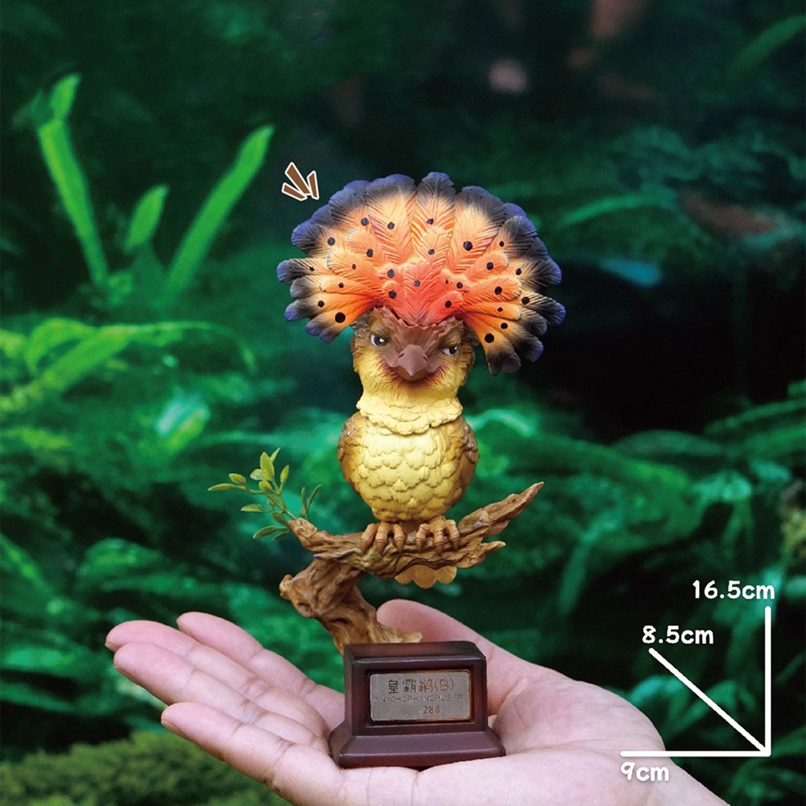 Onychorhynchus Coronatus Model Resin Bird Figure