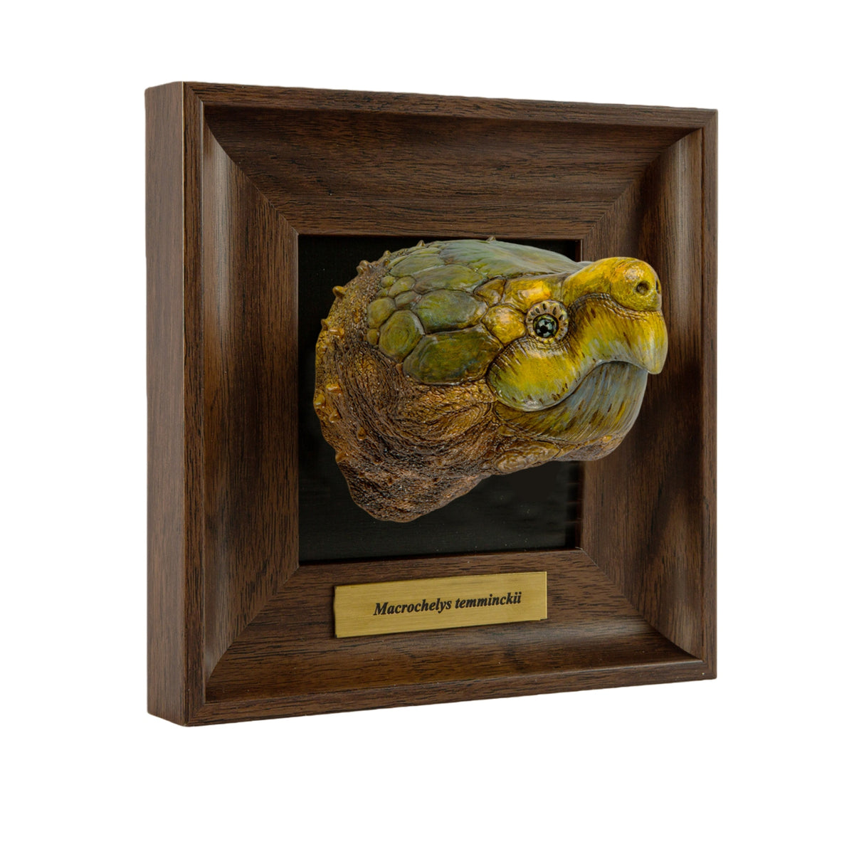 Animal Heavenly Body Frame Reptile Arts Series Volume 1 Model
