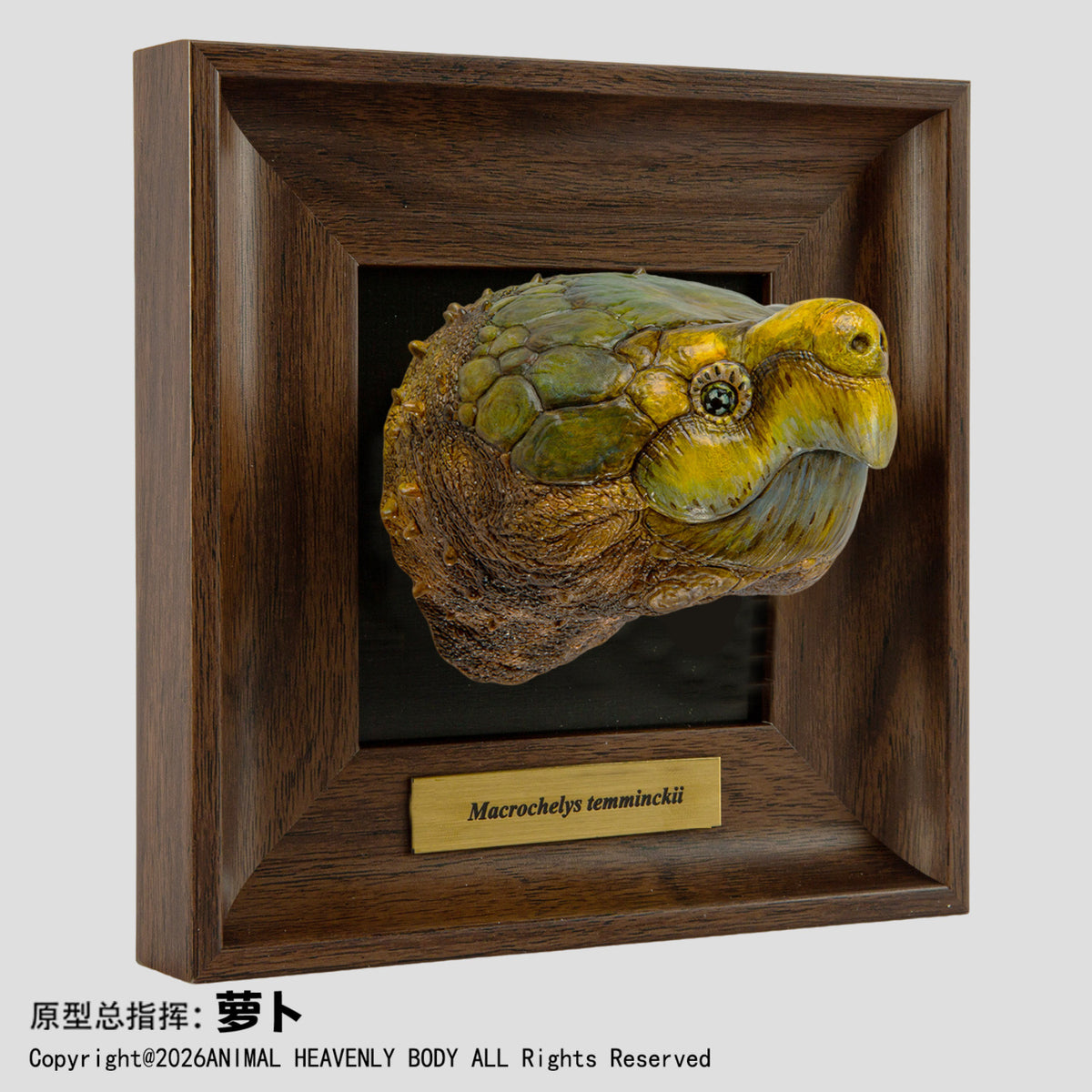 Animal Heavenly Body Frame Reptile Arts Series Volume 1 Model