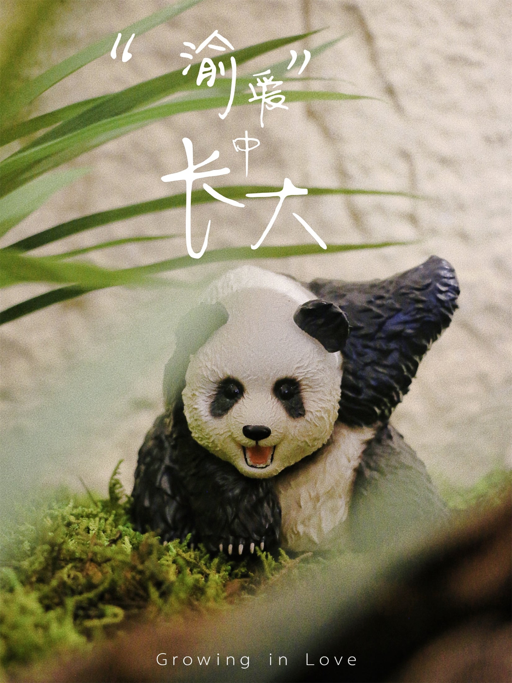 Schildkröten-Serie Tiermodell 