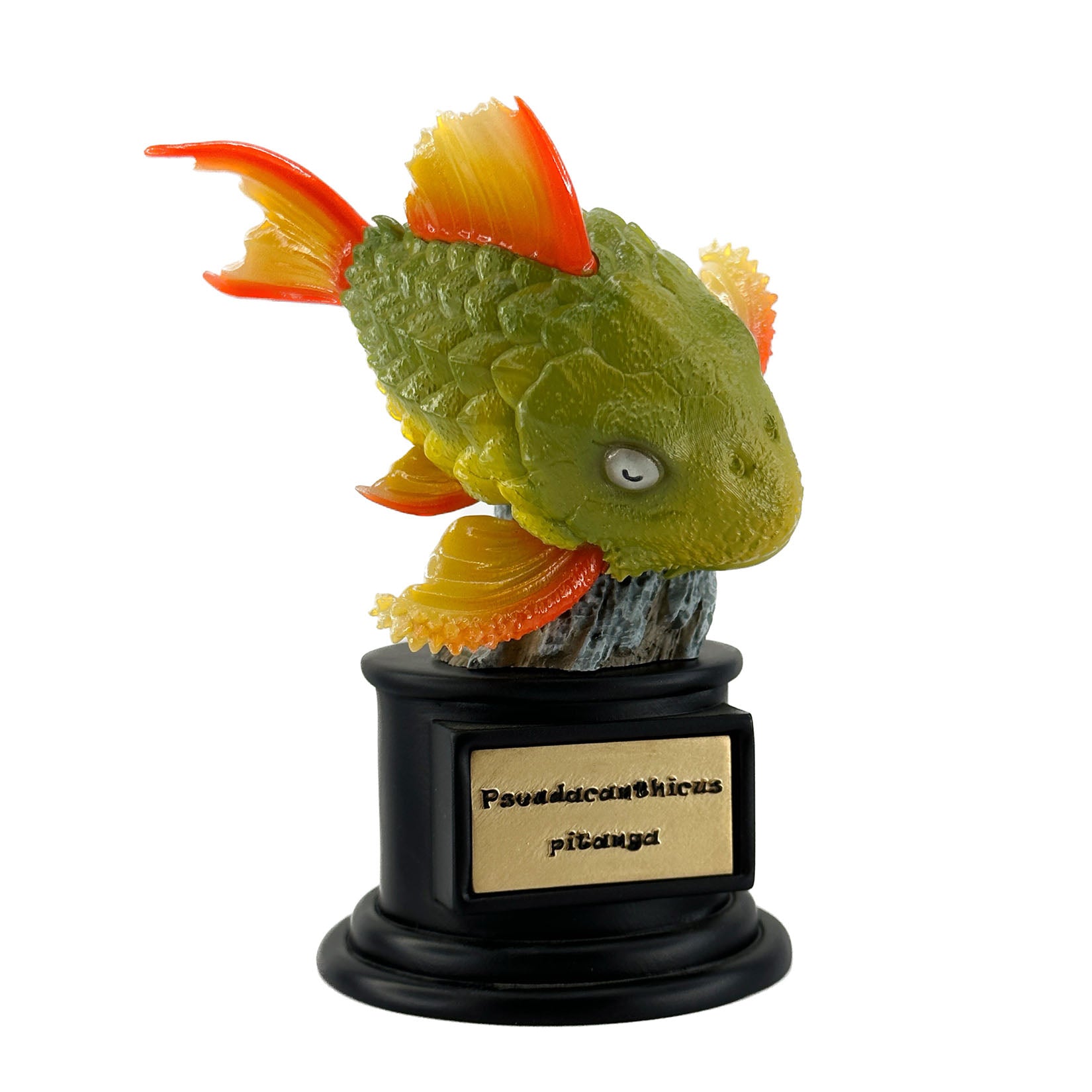 BOWUZHI Studio Fish Model