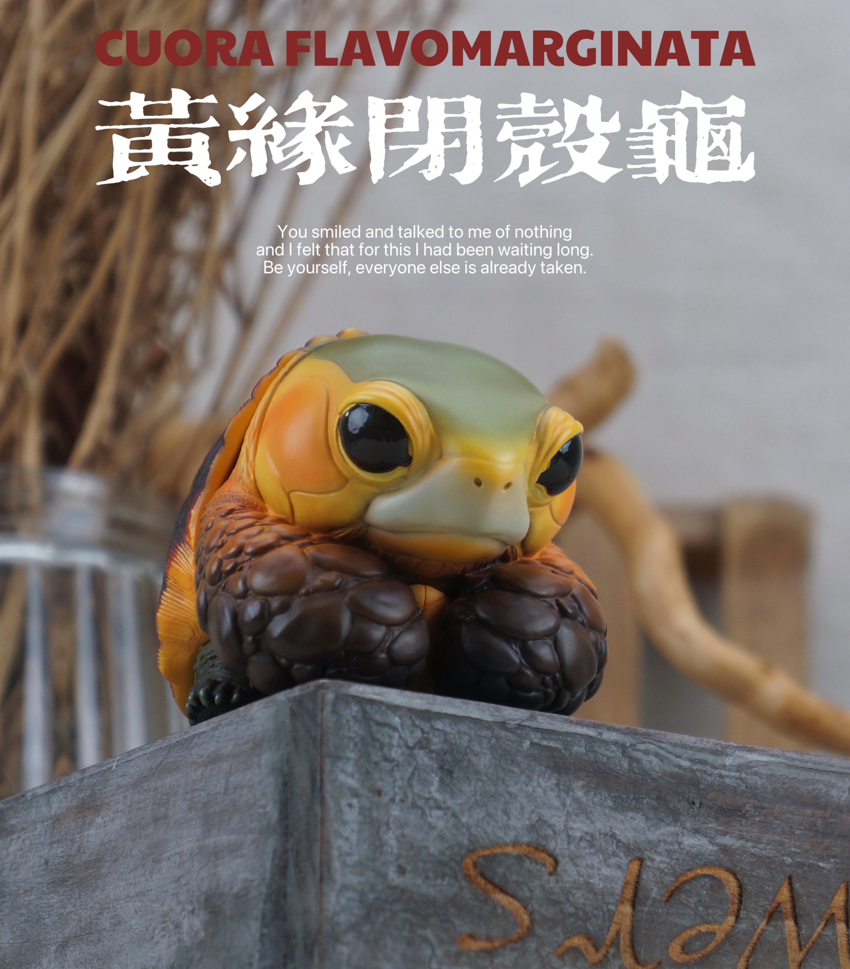 Turtle Model Pet Animal Figure