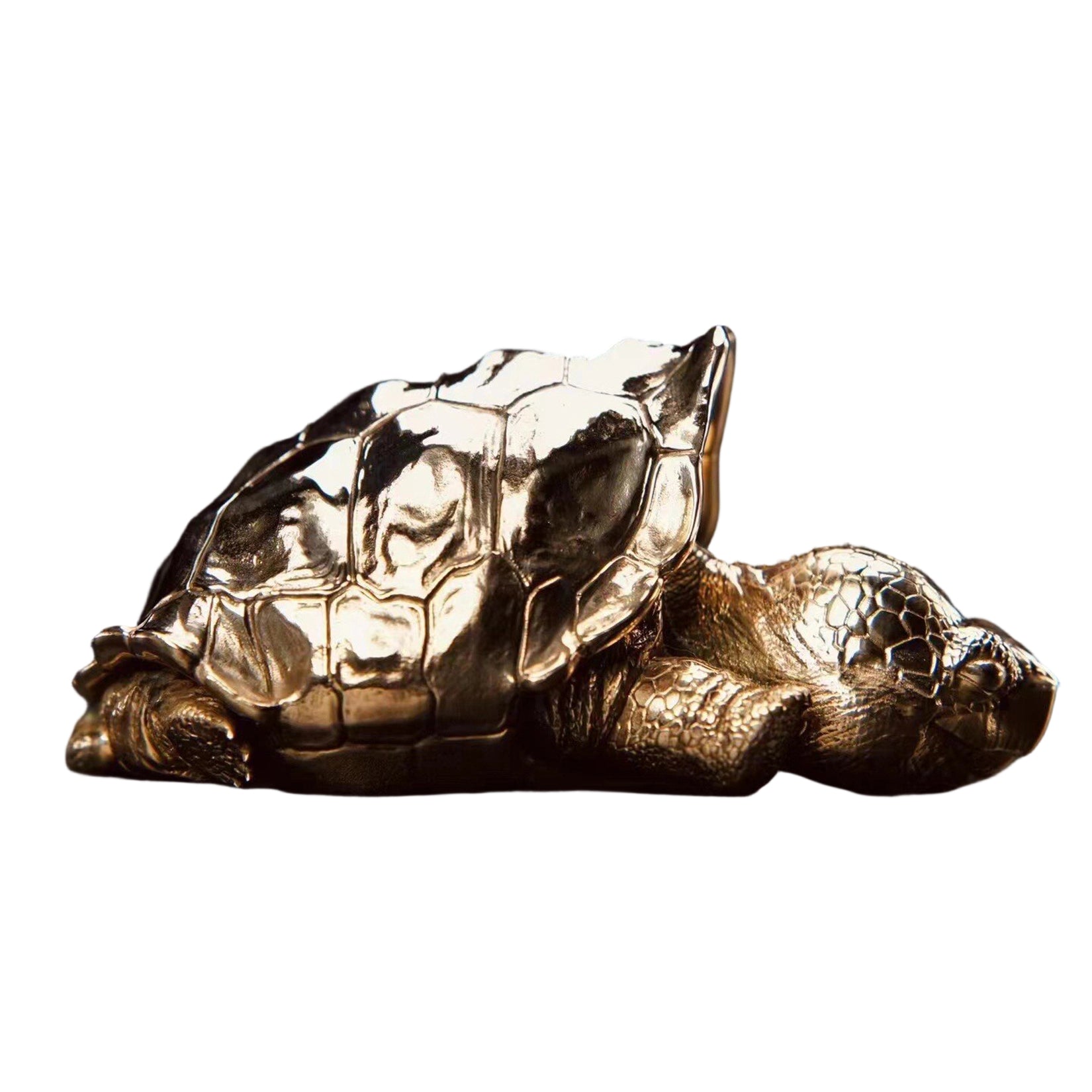BOWUZHI Studio Galapagos Elephant Turtle Model