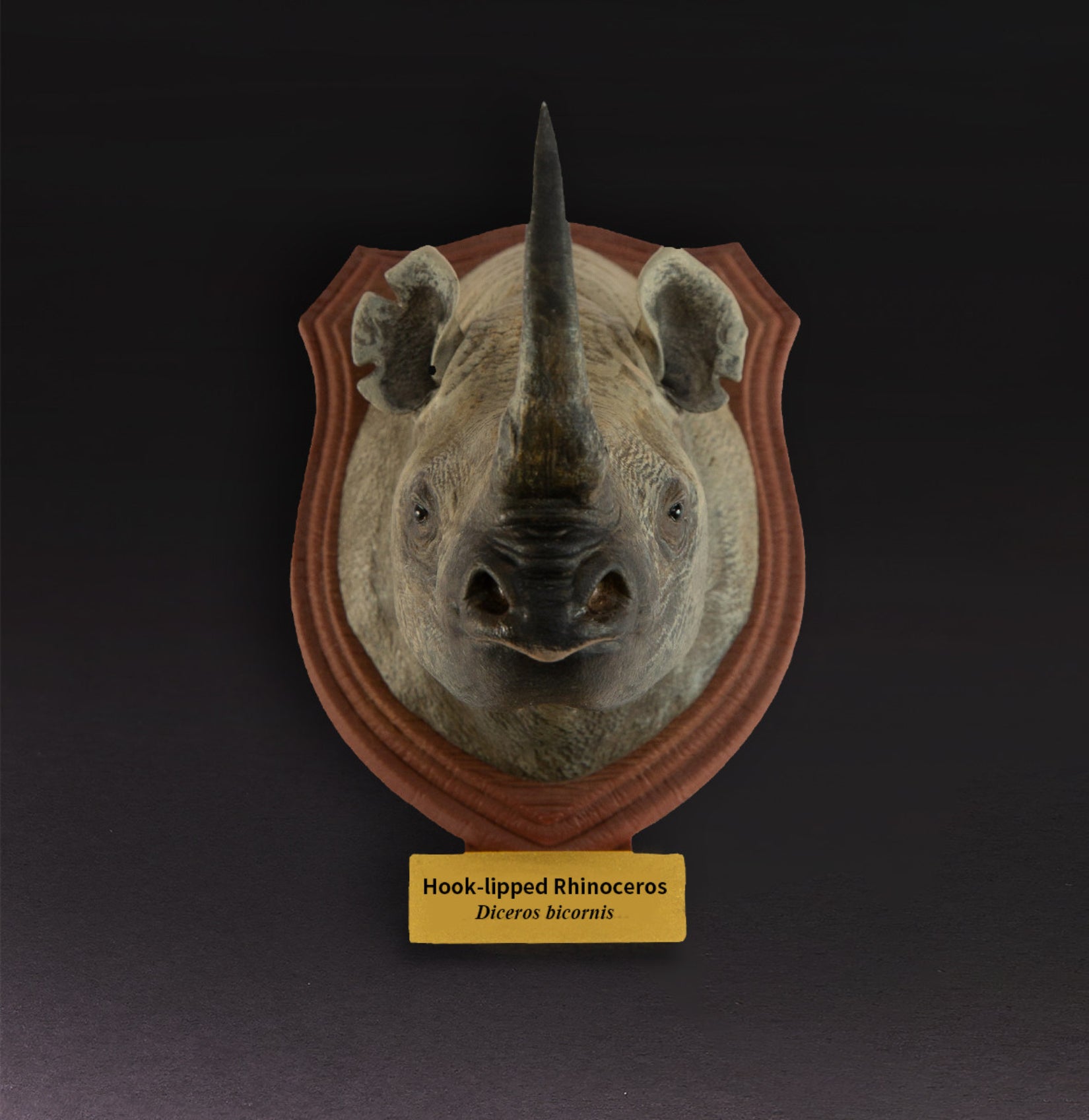 Animal Planet  World Encyclopedia Of Animals Volume 2