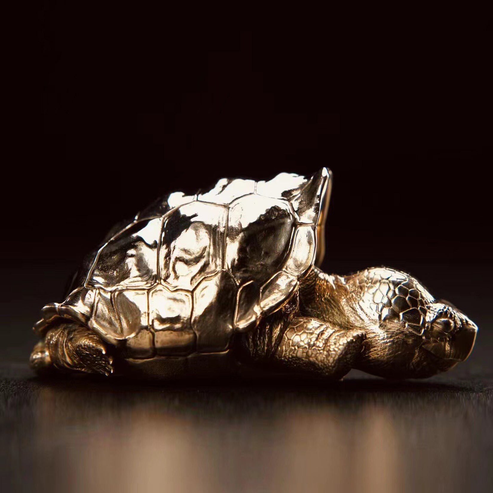 BOWUZHI Studio Galapagos Elephant Turtle Model