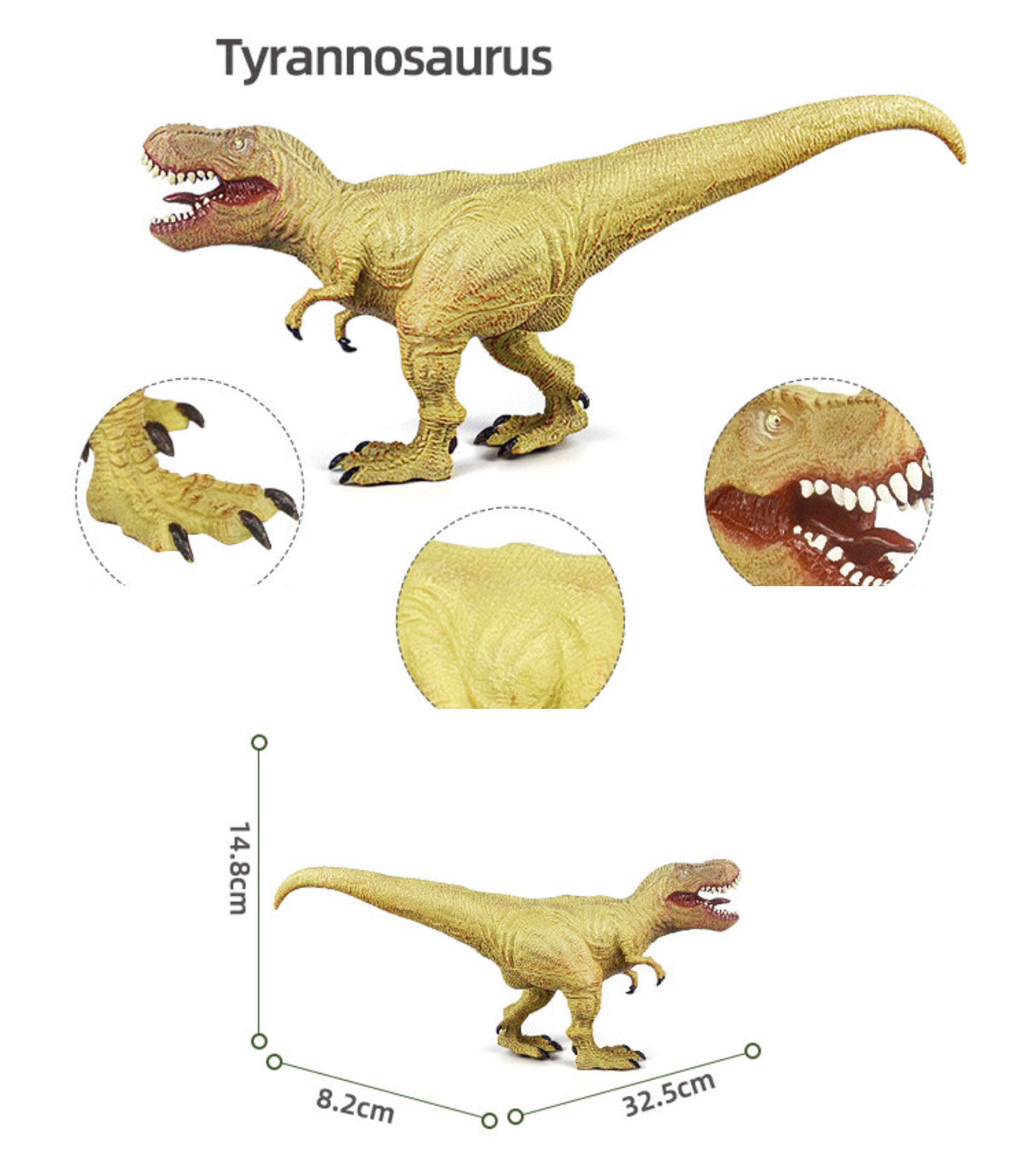 RECUR  Tyrannosaurus Dinosaur Model