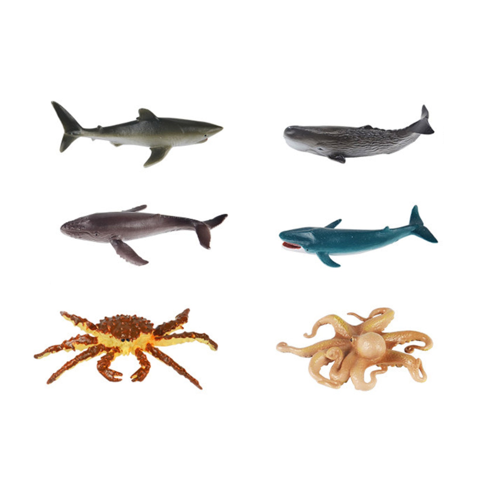RECUR  Marine Animal Model Set