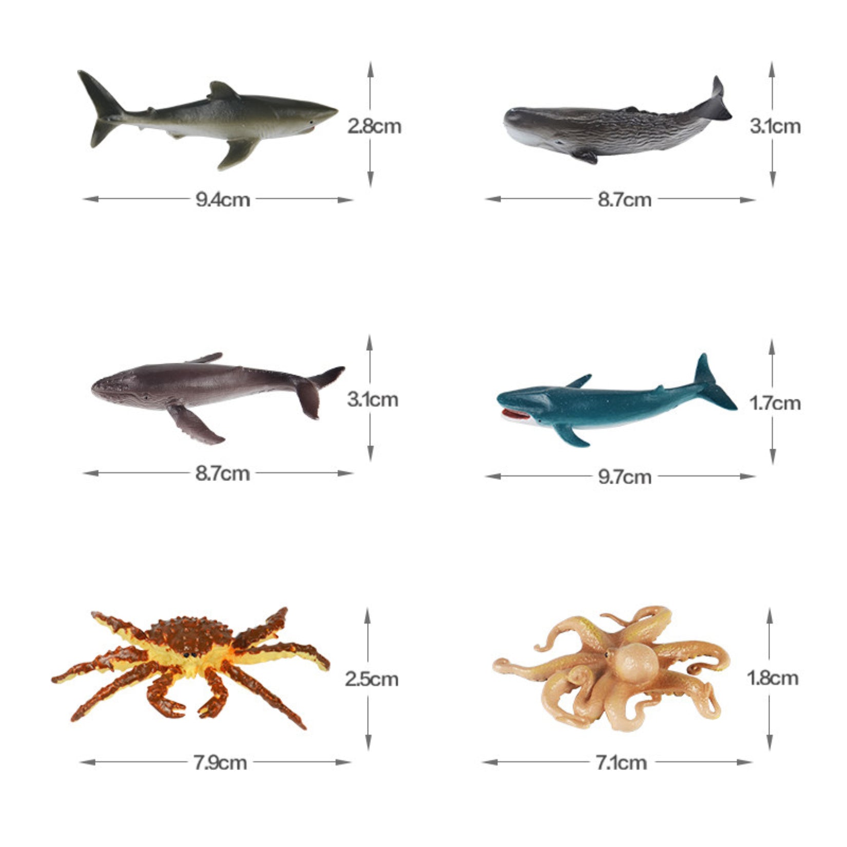 RECUR  Marine Animal Model Set