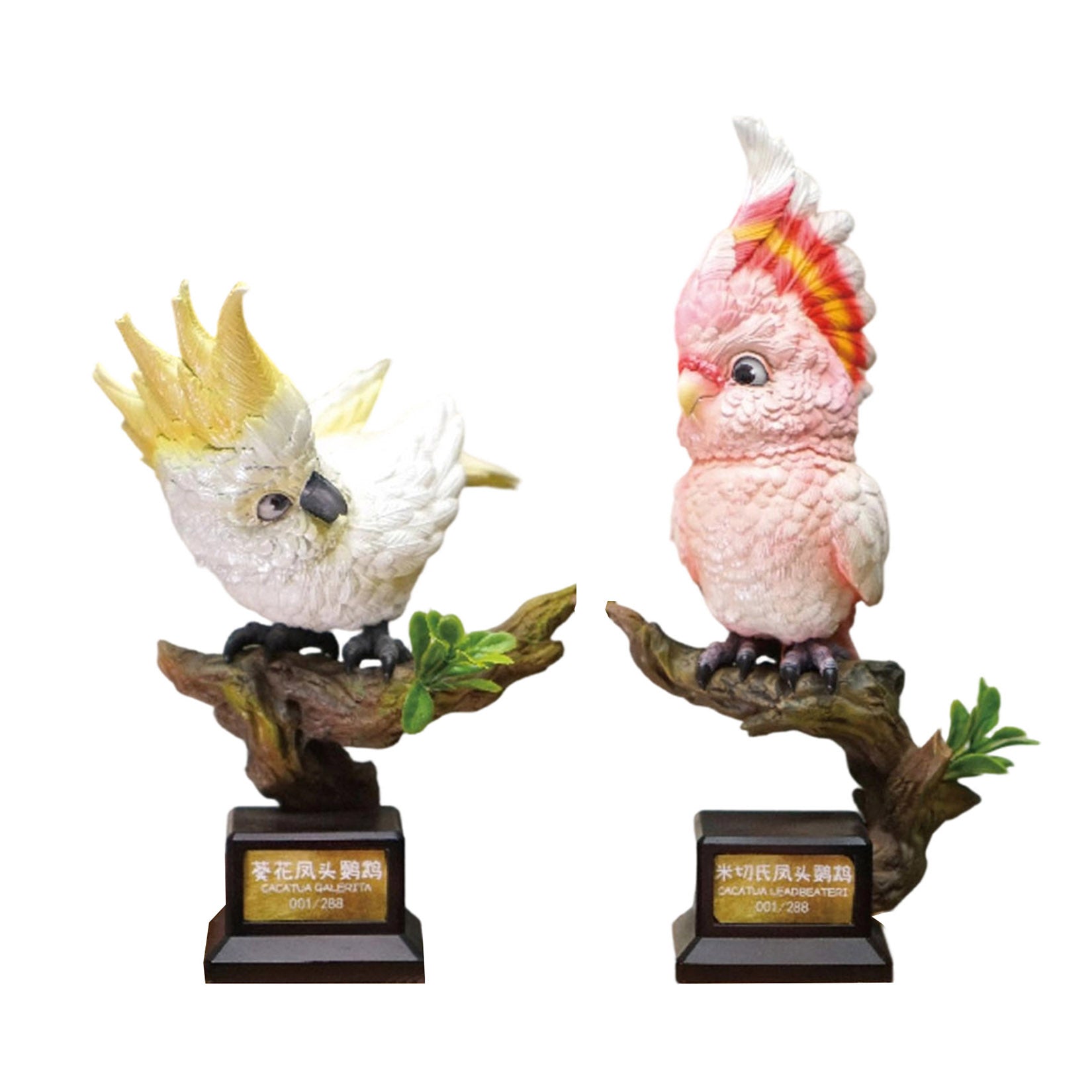 Cacatua Leadbeateri & Cacatua Galerita Parrot Model