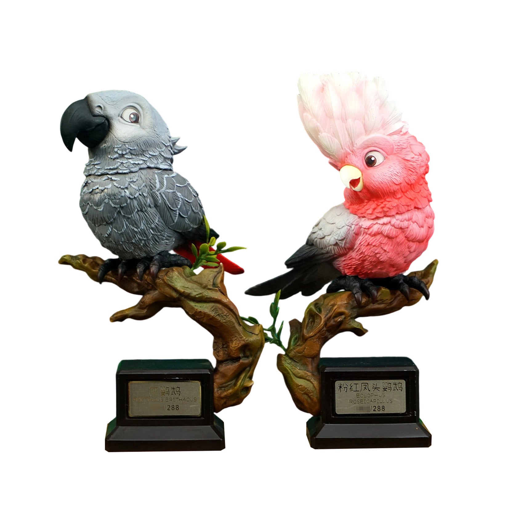 Psittacus Erithacus & Eolophus Roseicapilla Parrot Model