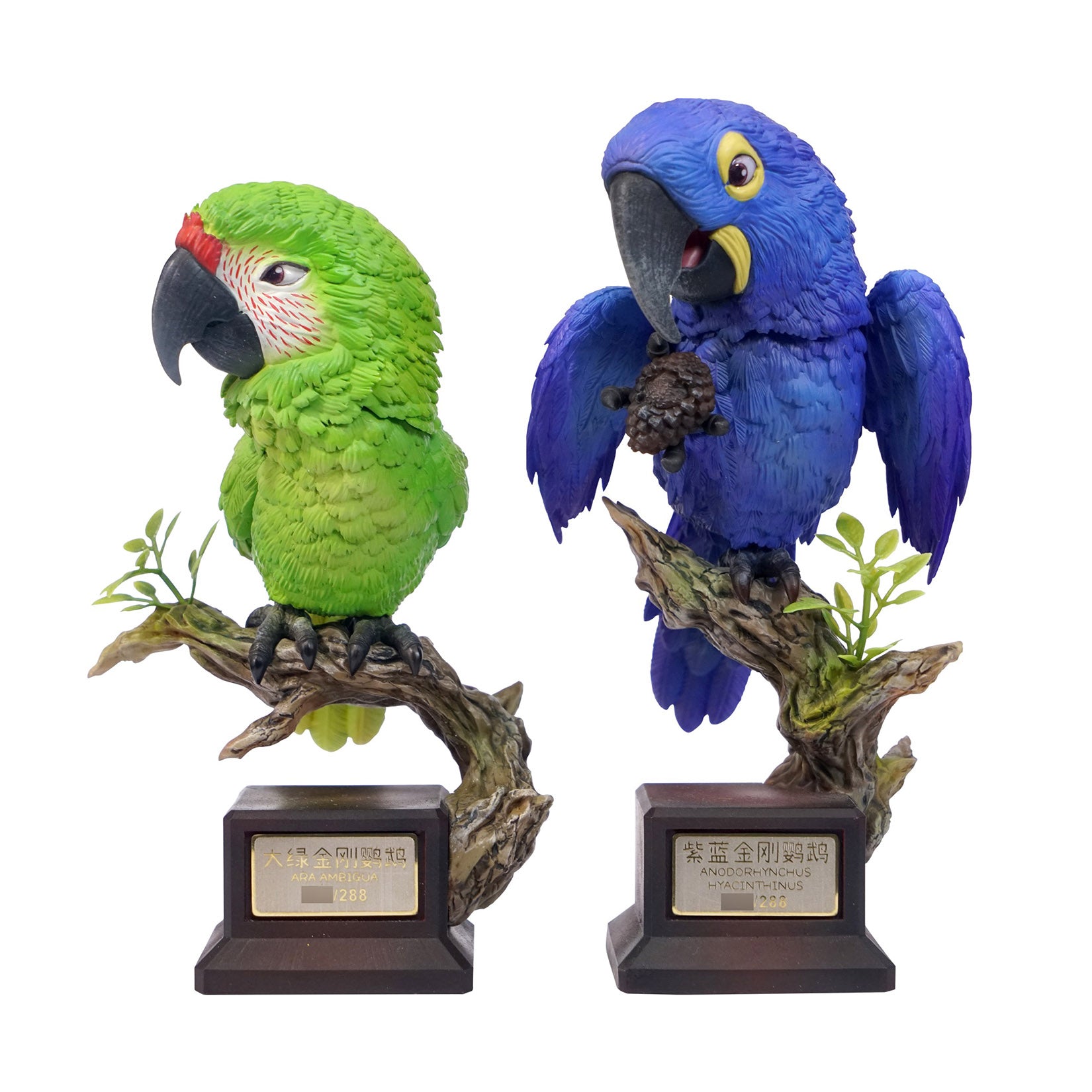 Great Green Macaw & Hyacinth Macaw Parrot Model