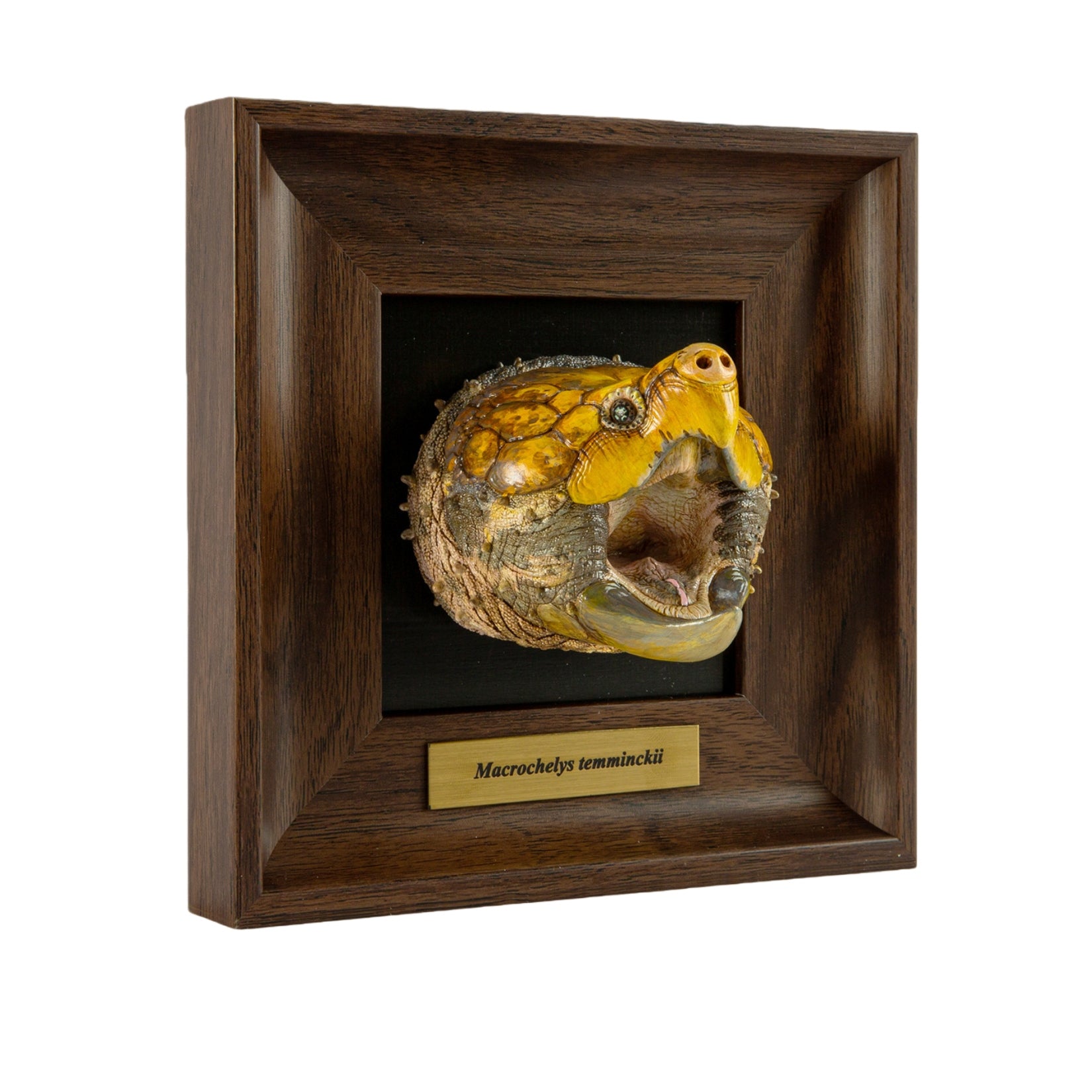 Animal Heavenly Body Frame Reptile Arts Series Volume 1 Model