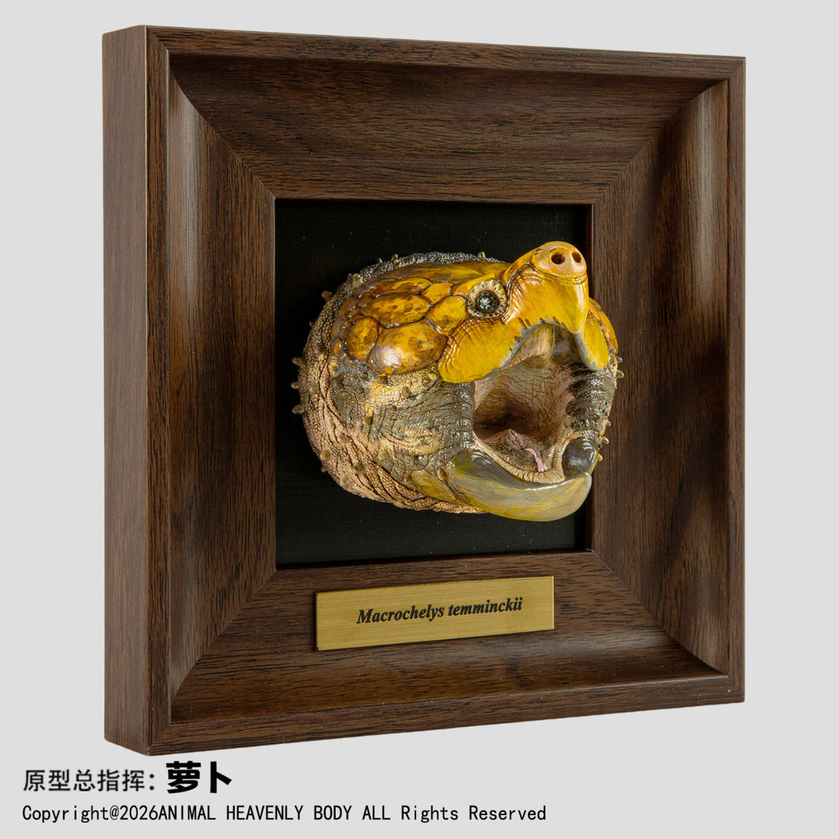 Animal Heavenly Body Frame Reptile Arts Series Volume 1 Model