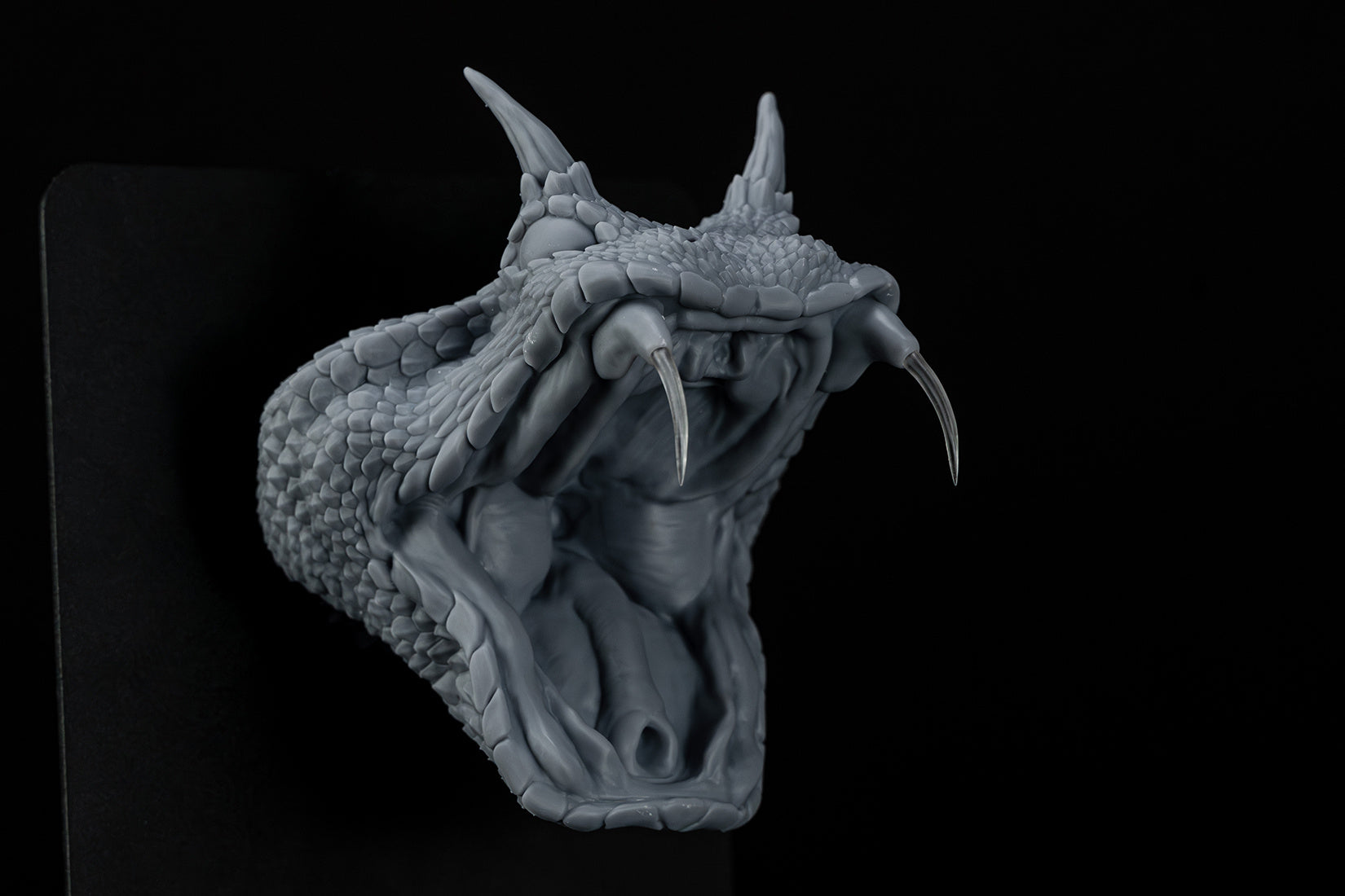 Cerastes Cornutus  Snake Model