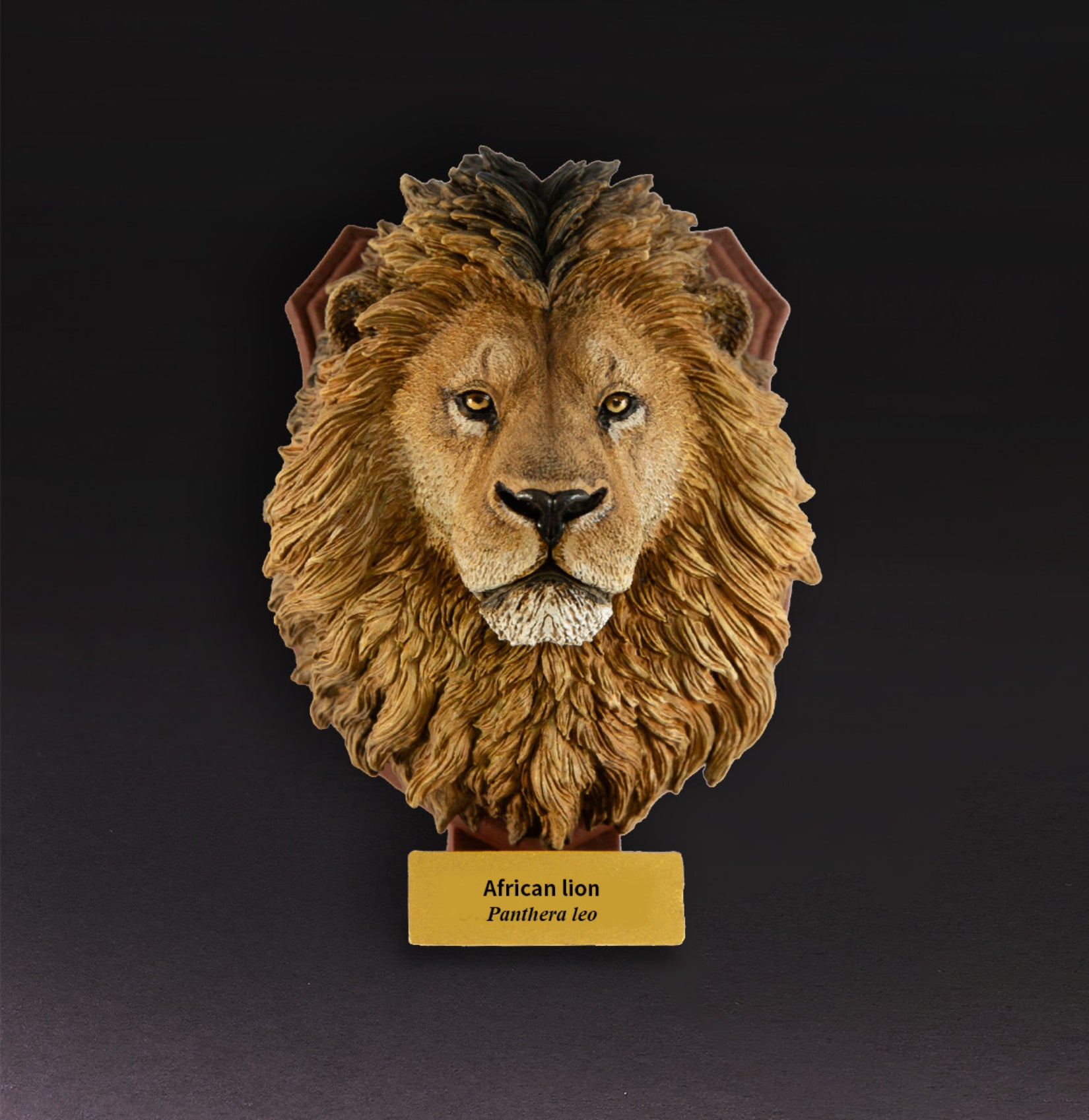 Animal Planet  World Encyclopedia Of Animals Volume 2