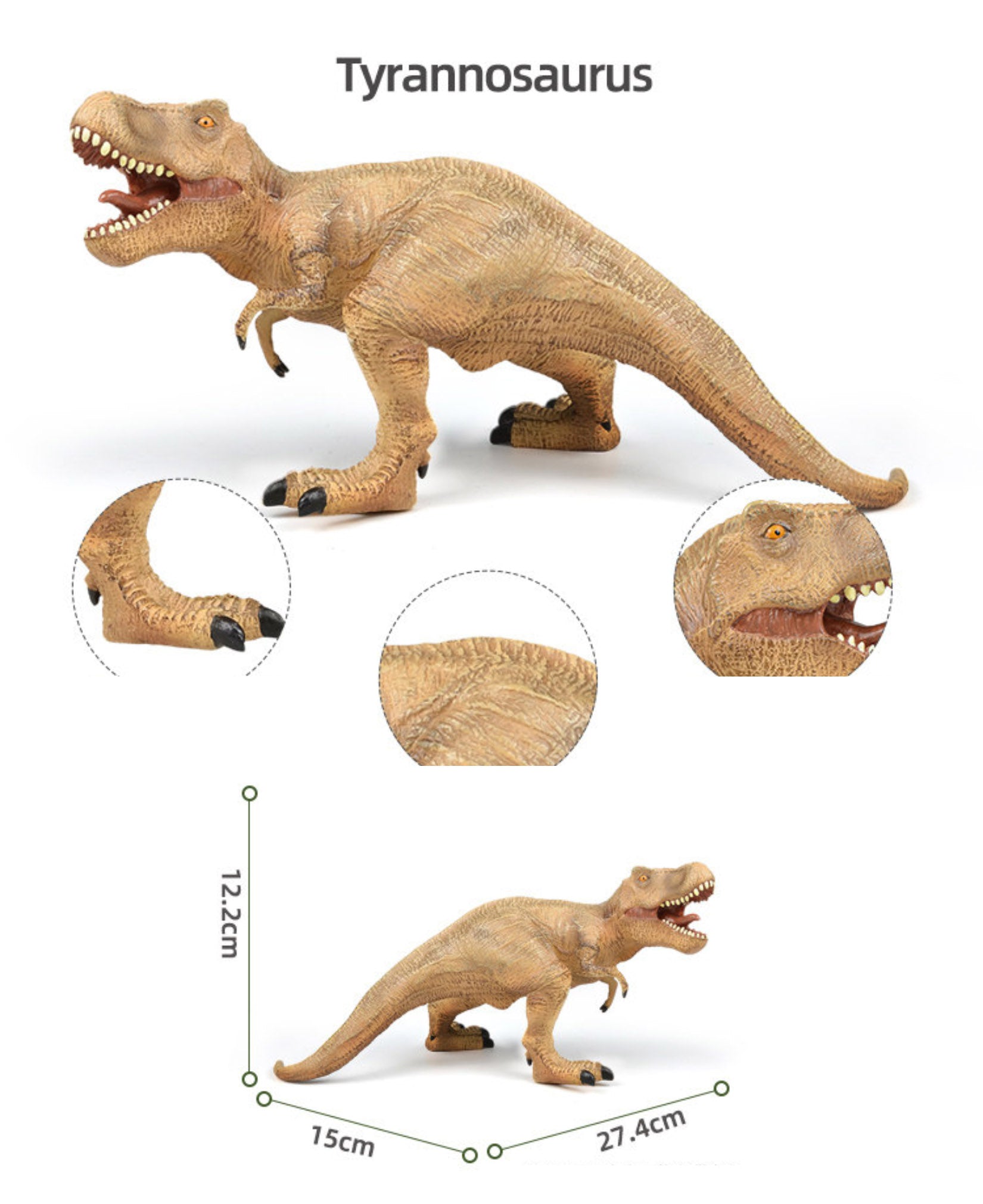RECUR  Tyrannosaurus Dinosaur Model