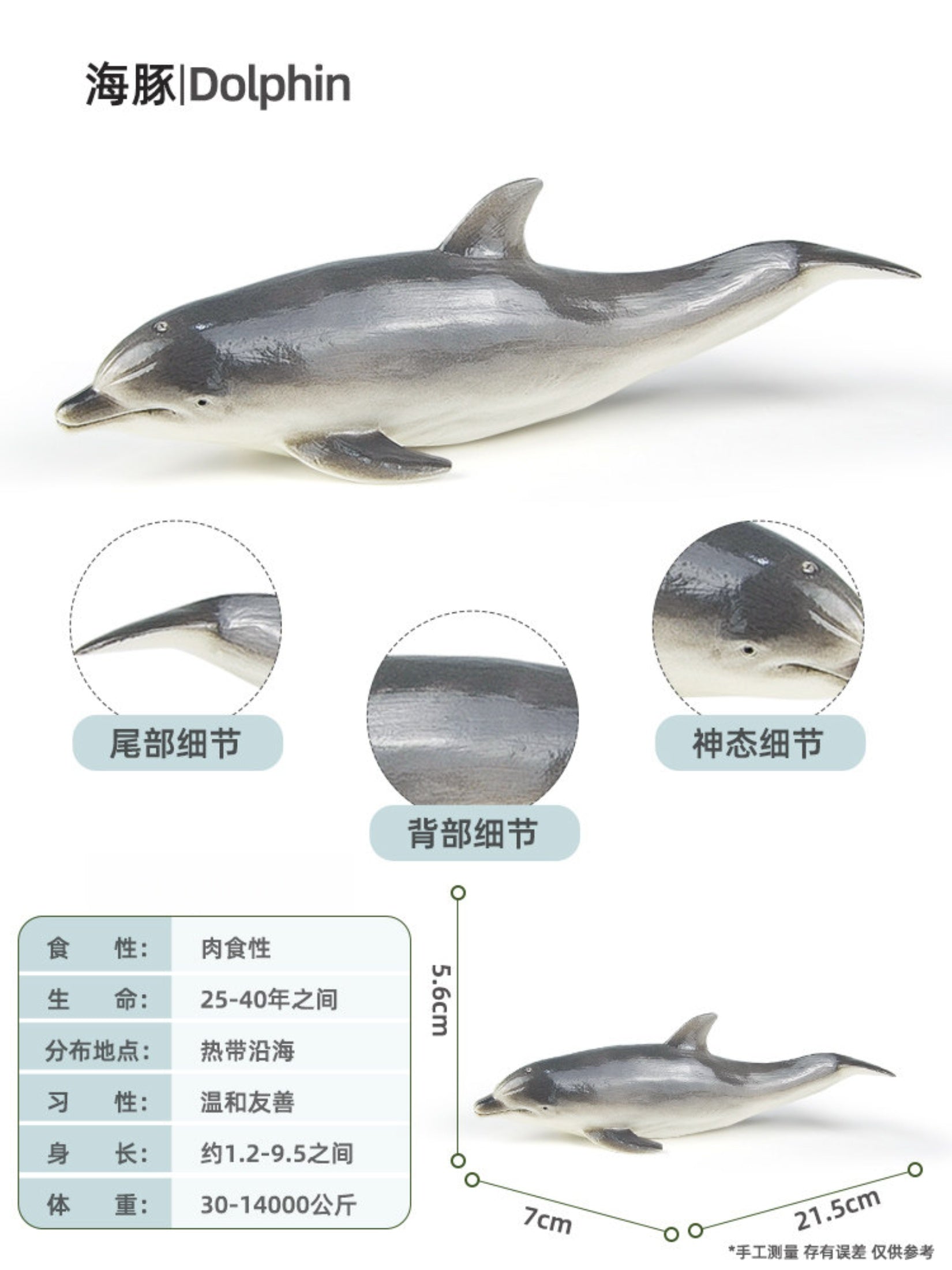 RECUR Dolphin Model Marine Animal