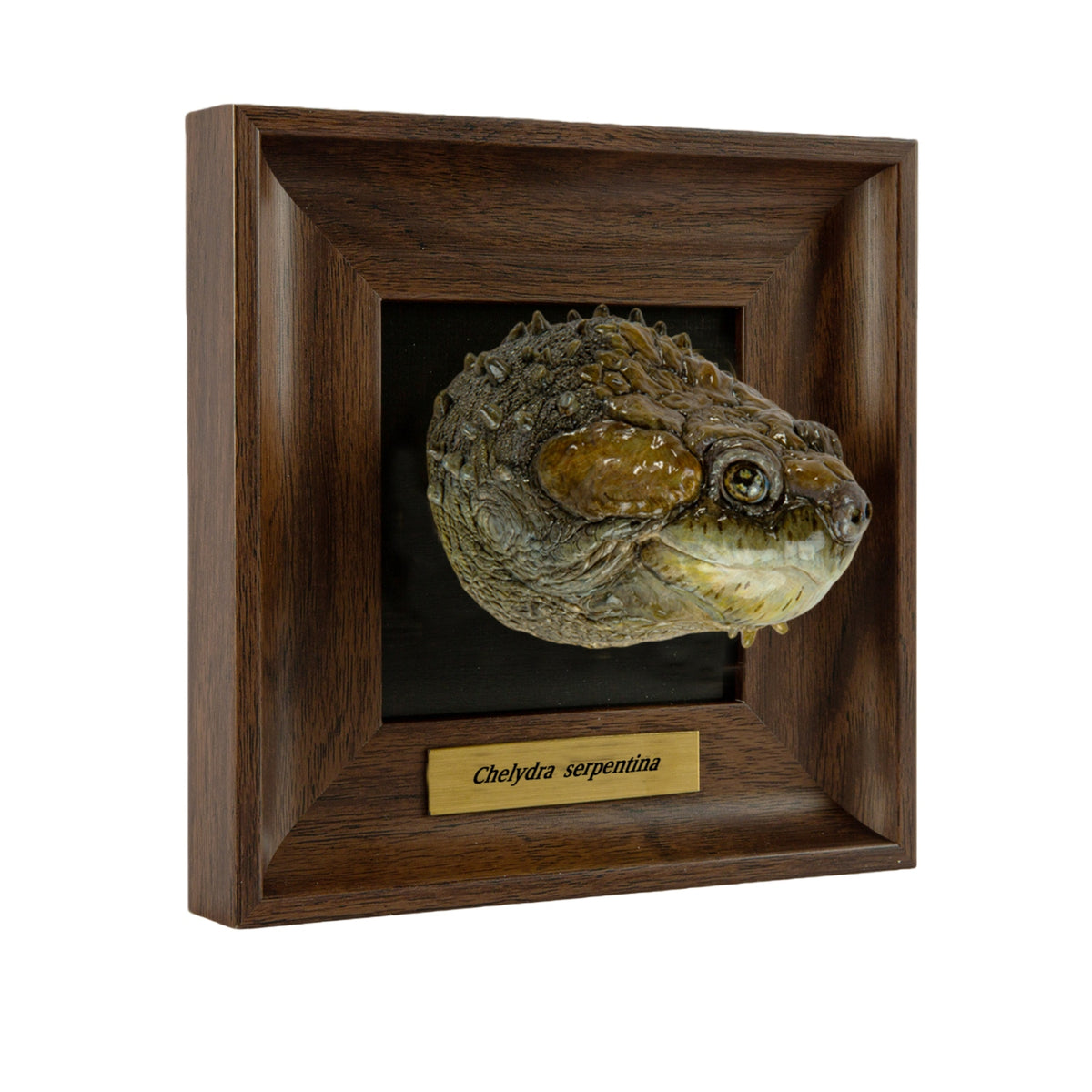 Animal Heavenly Body Frame Reptile Arts Series Volume 1 Model