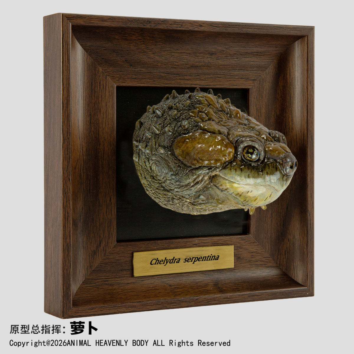 Animal Heavenly Body Frame Reptile Arts Series Volume 1 Model