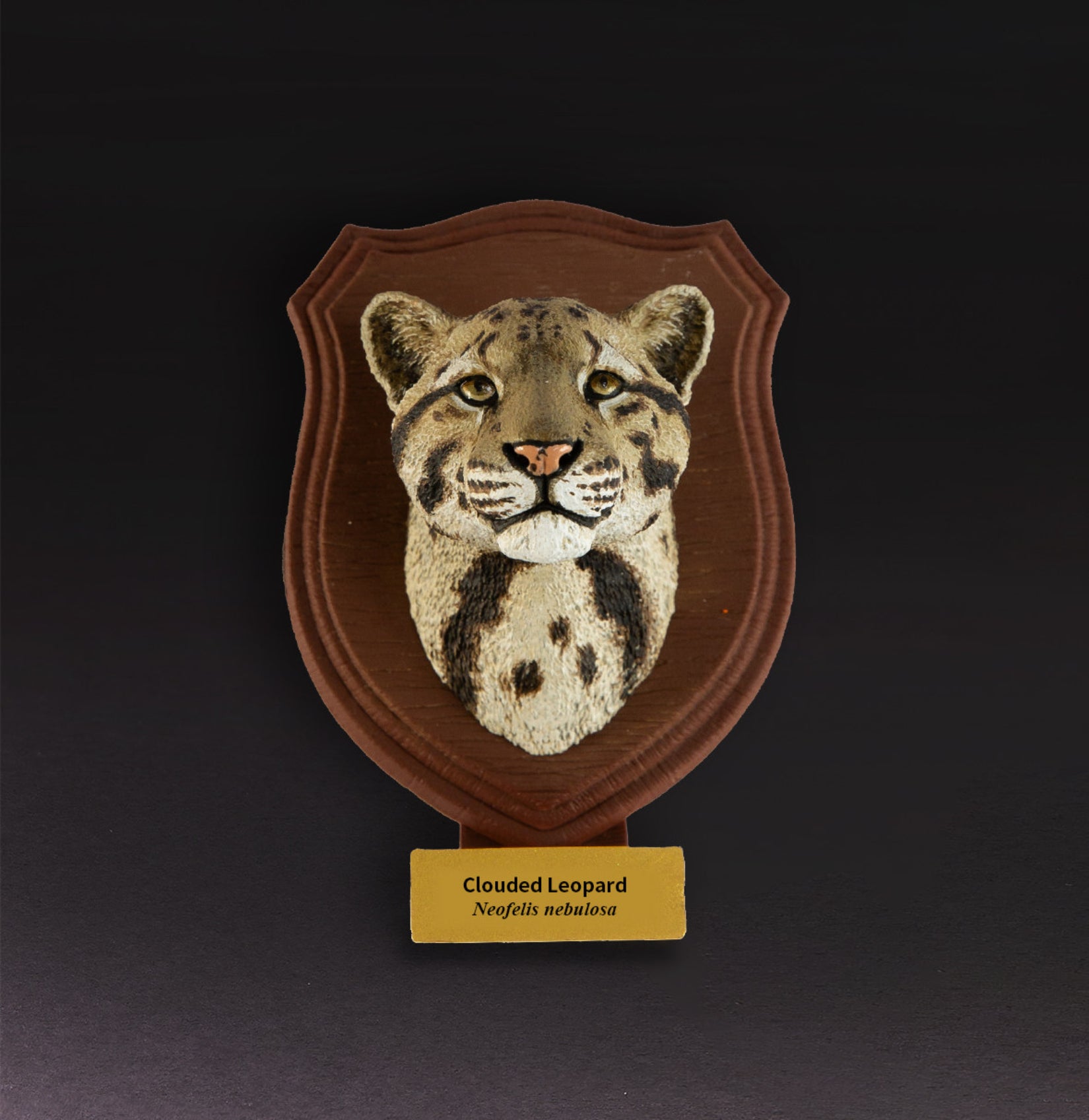 Animal Planet  World Encyclopedia Of Animals Volume 2