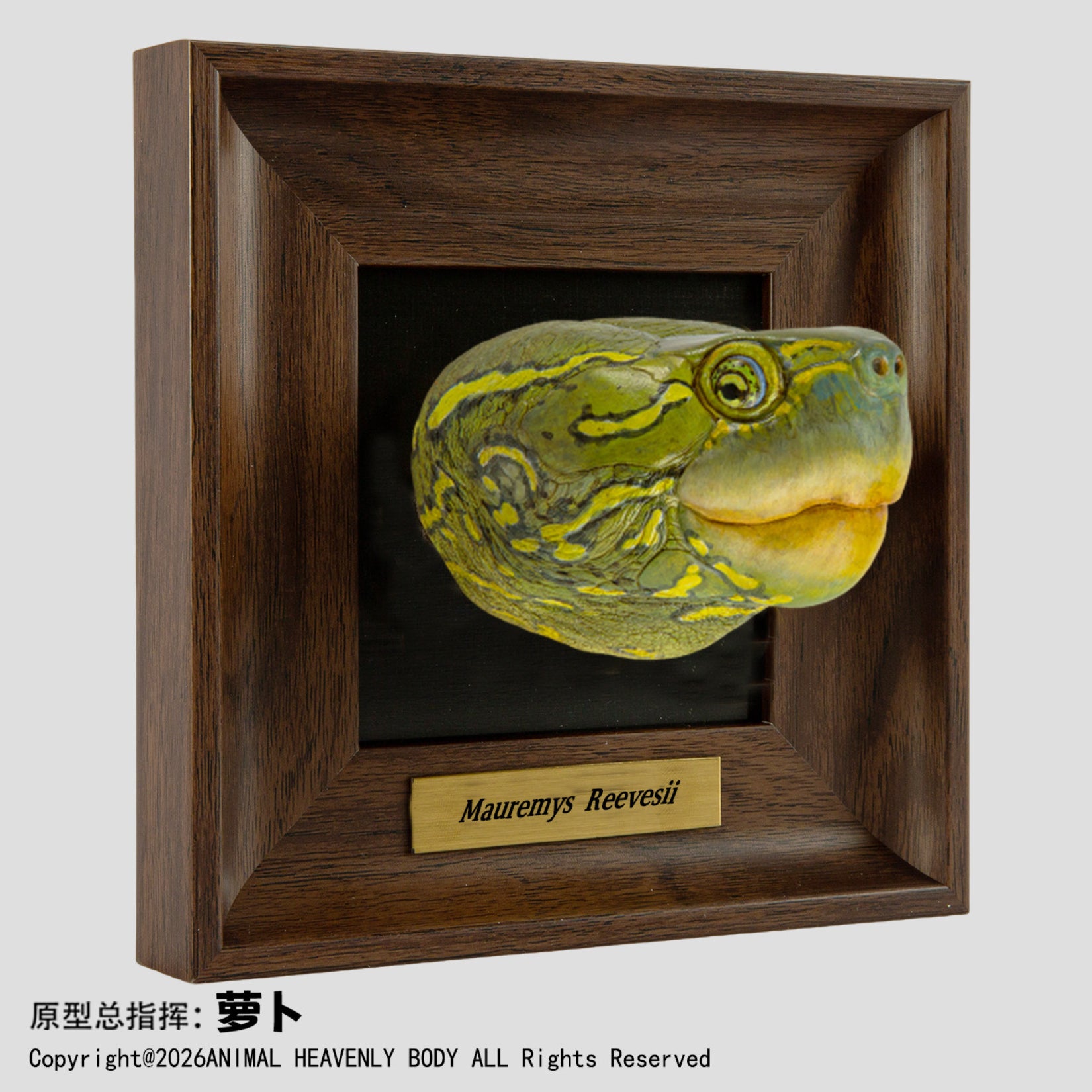 Animal Heavenly Body Frame Reptile Arts Series Volume 1 Model