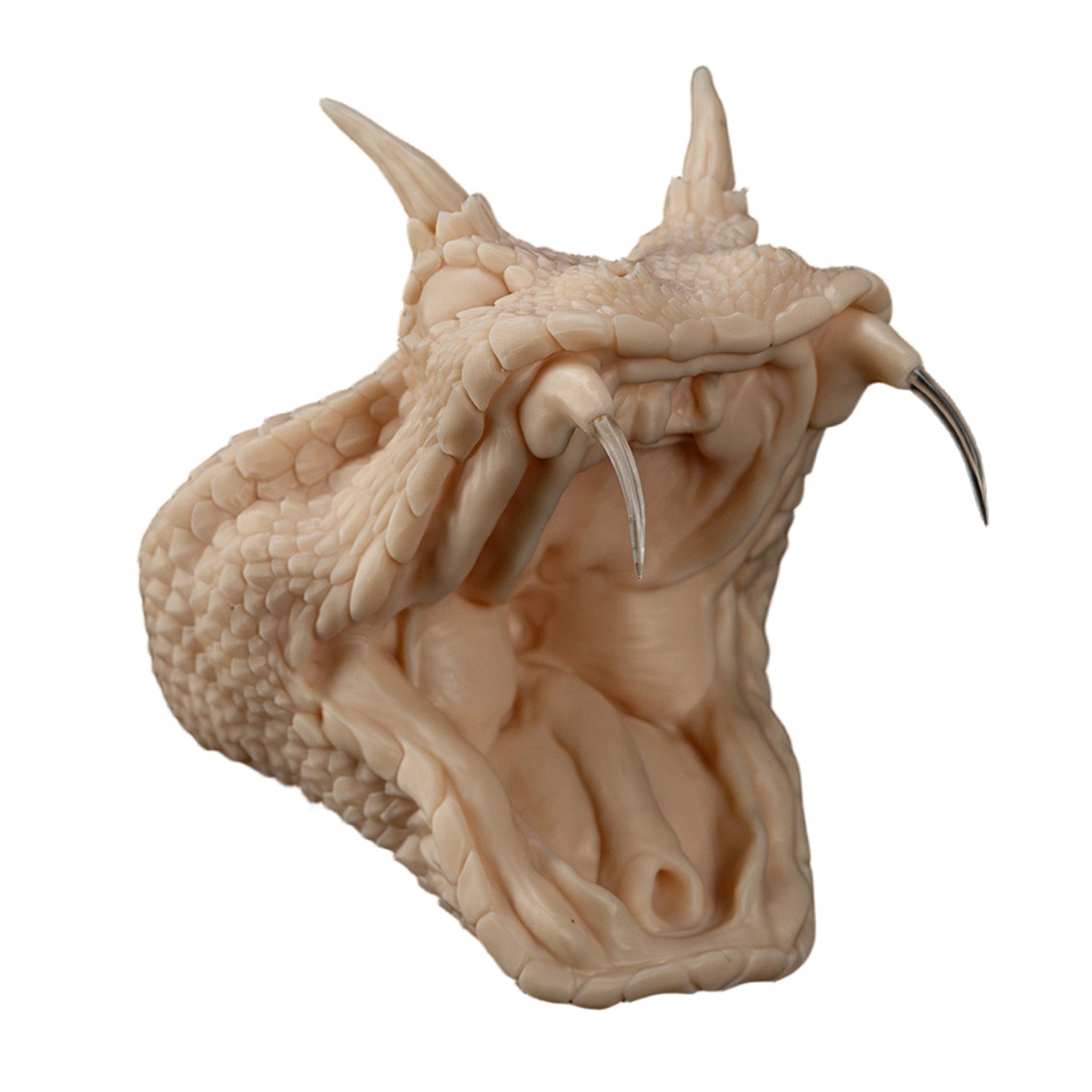 Cerastes Cornutus  Snake Model