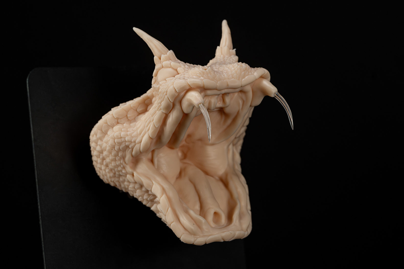 Cerastes Cornutus  Snake Model