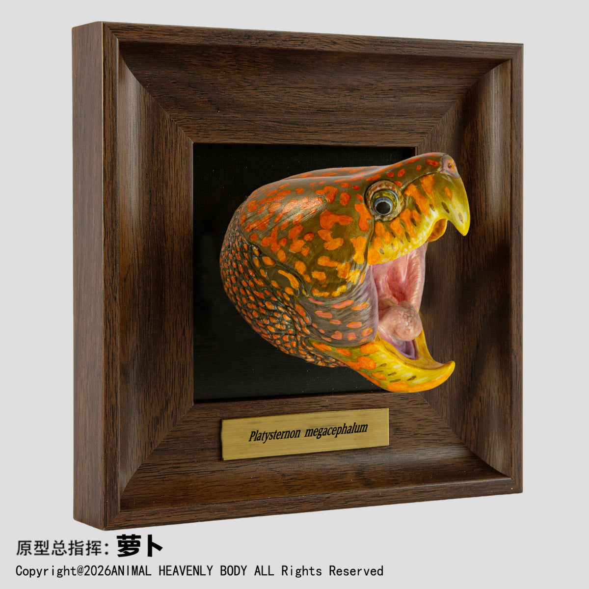 Animal Heavenly Body Frame Reptile Arts Series Volume 1 Model