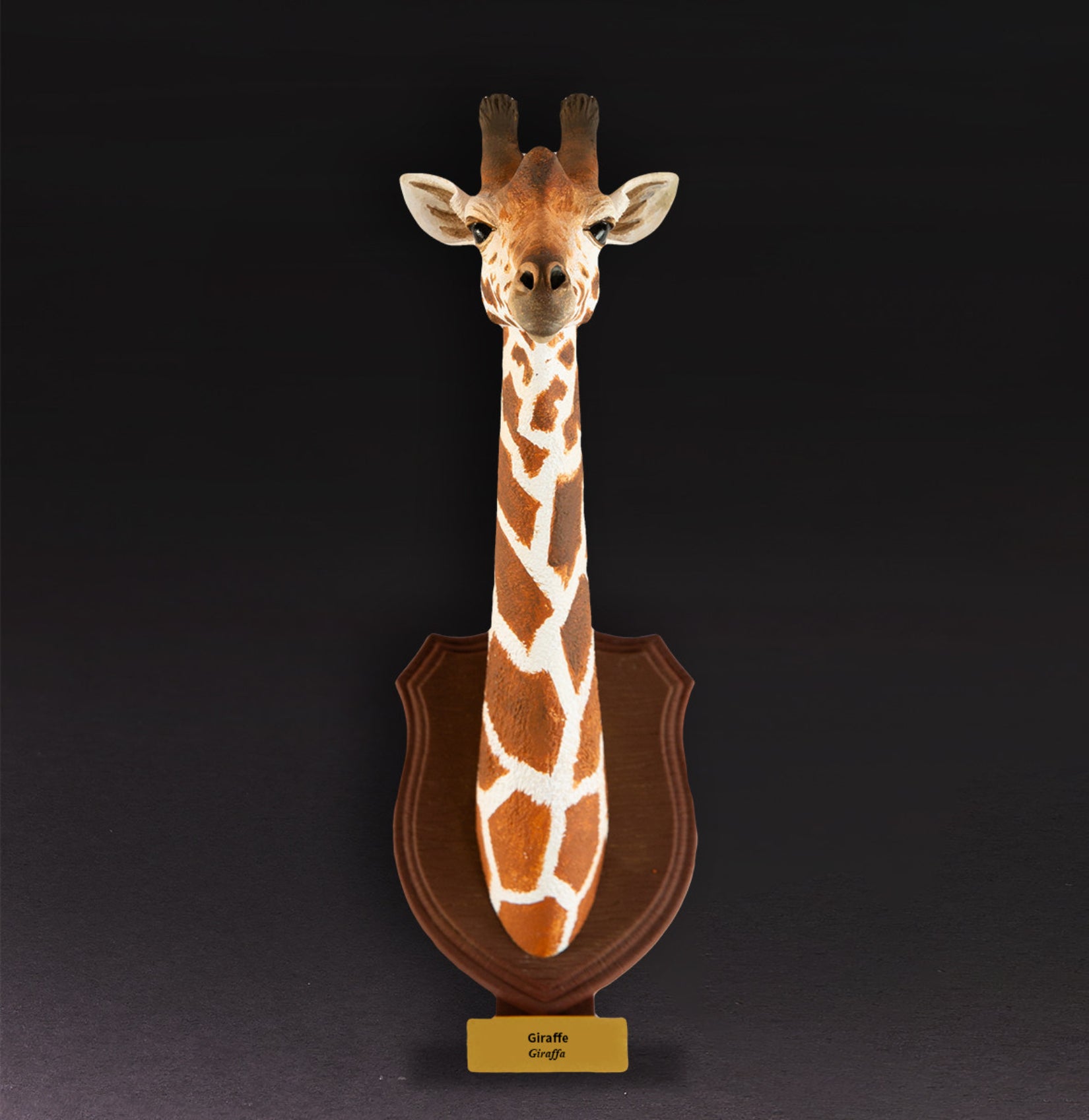 Animal Planet  World Encyclopedia Of Animals Volume 2