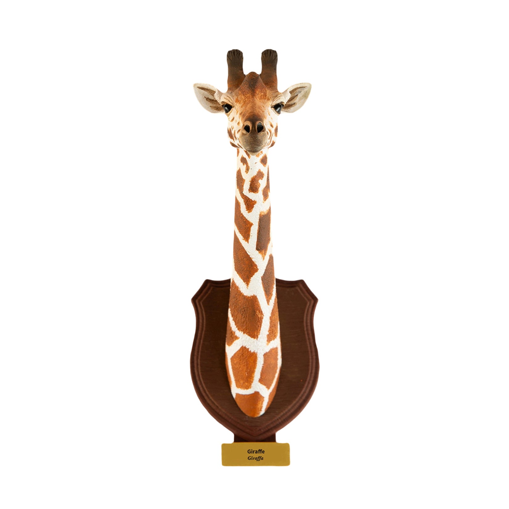 Animal Planet  World Encyclopedia Of Animals Volume 2