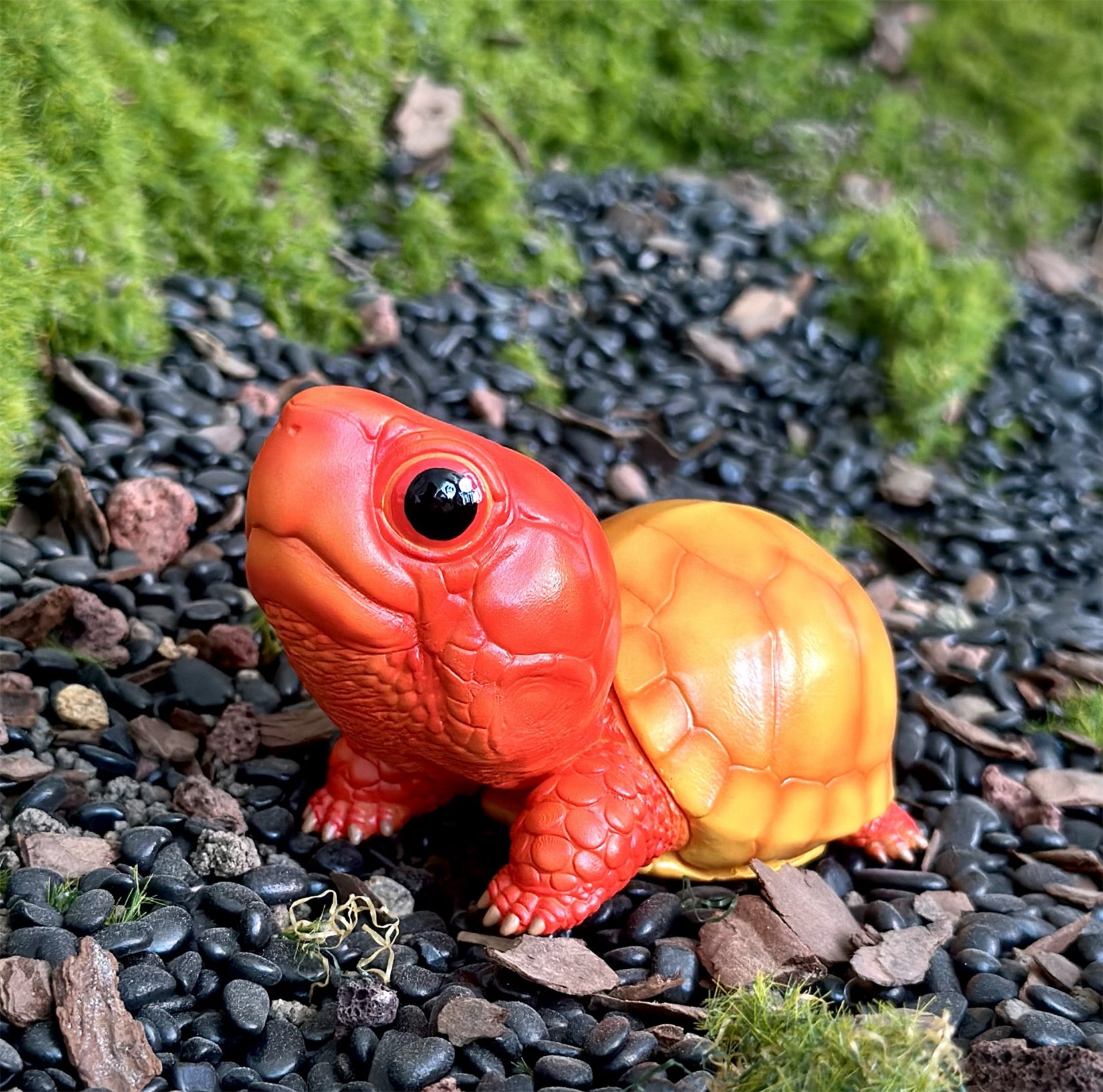 BOWUZHI STUDIO Terrapene Box Turtle Model