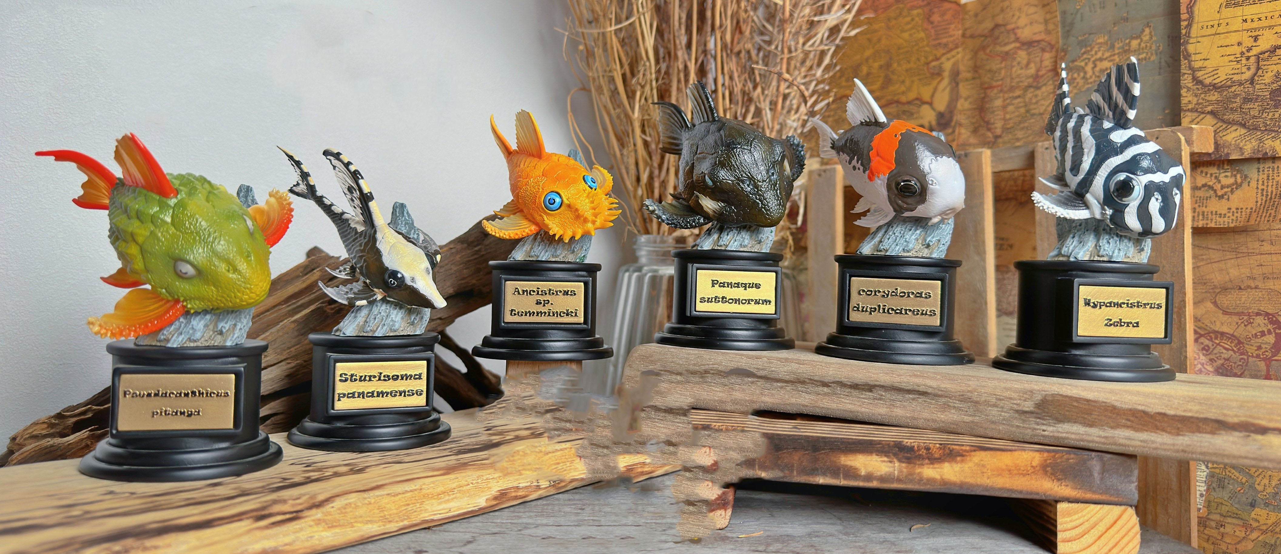 BOWUZHI Studio Fish Model
