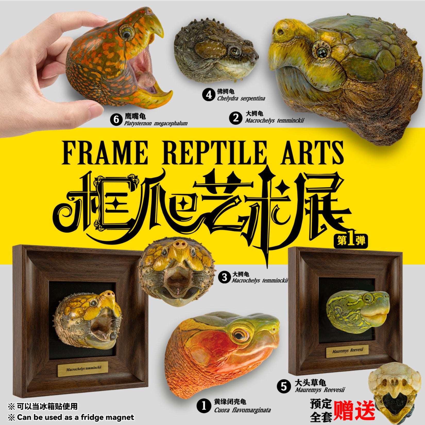 Animal Heavenly Body Frame Reptile Arts Series Volume 1 Model