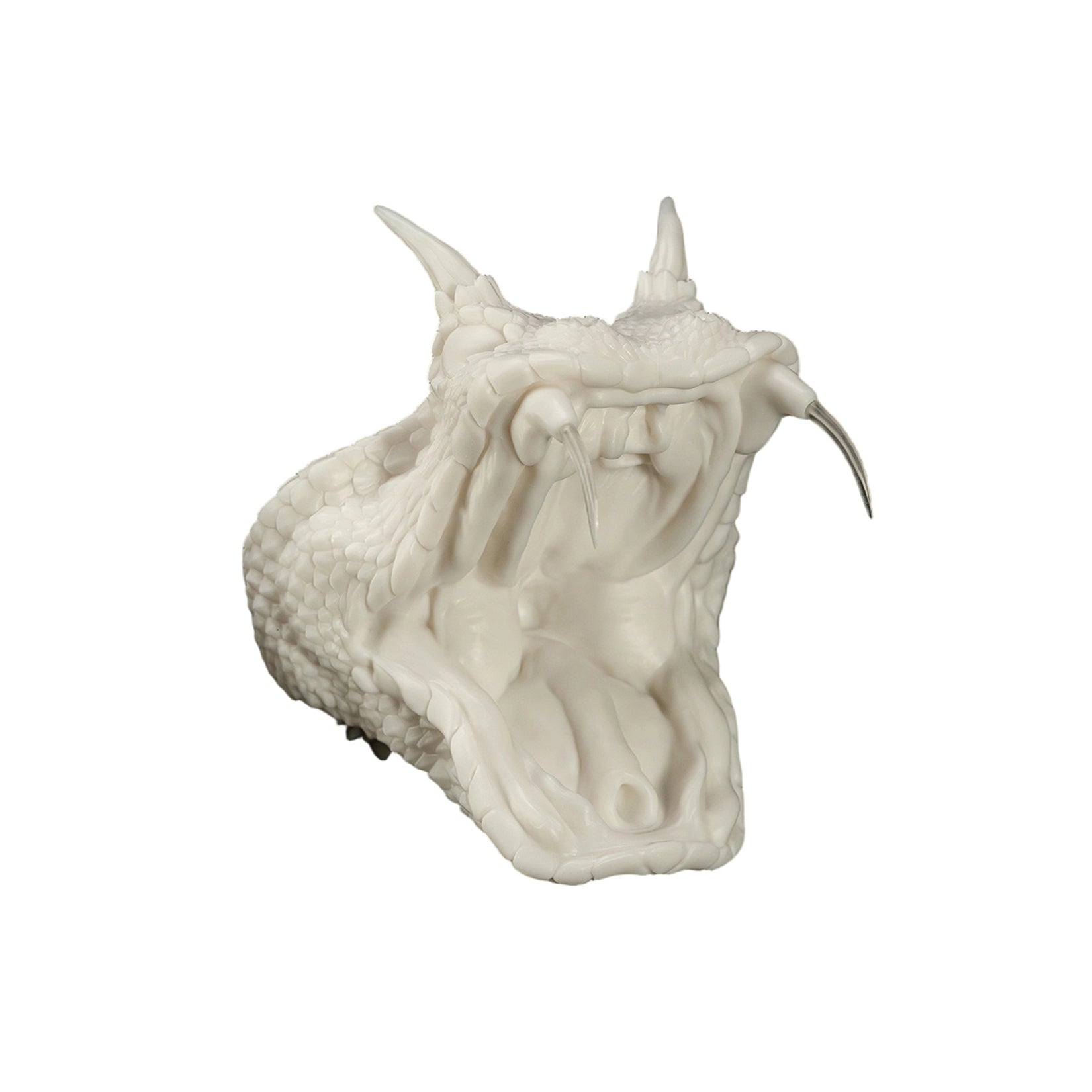 Cerastes Cornutus  Snake Model