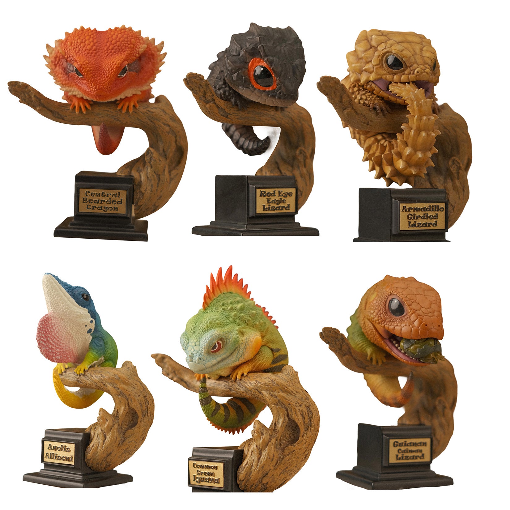 BOWUZHI Studio  Lizards 1.0 Blind Box Model