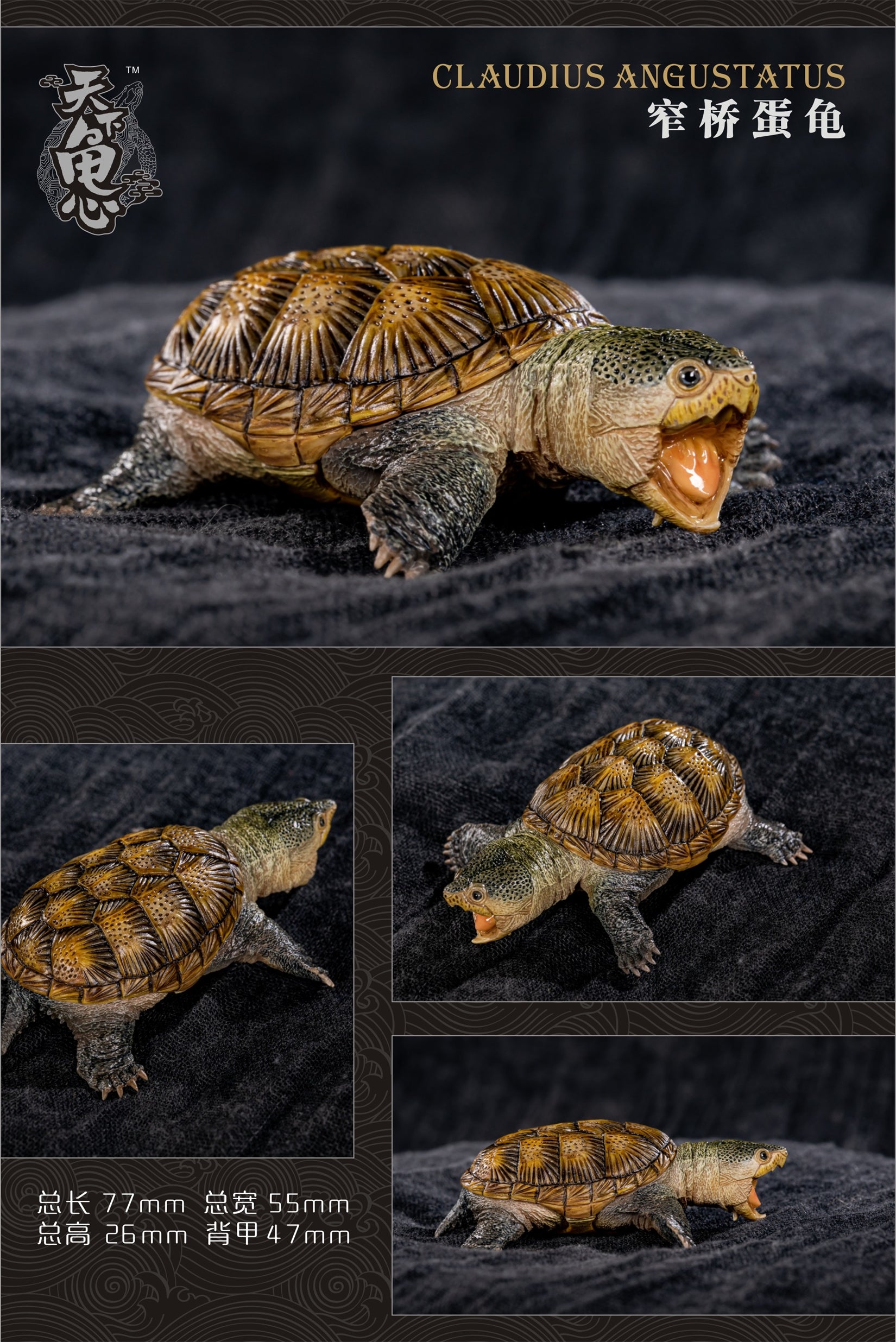 Turtle Model Series