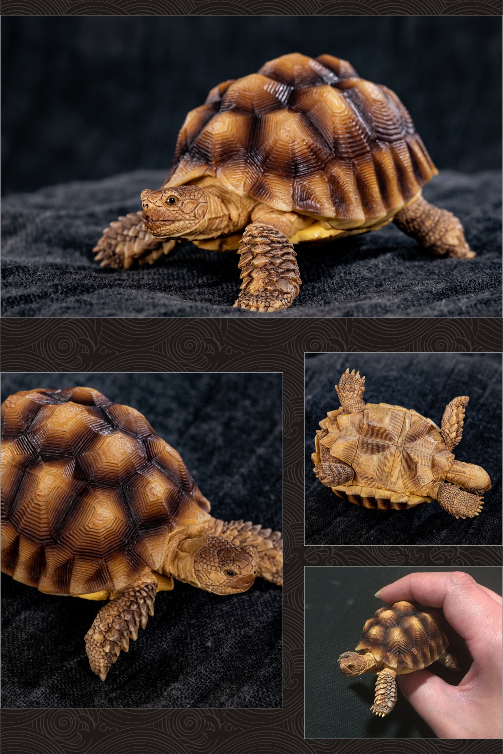 Turtle Model Series