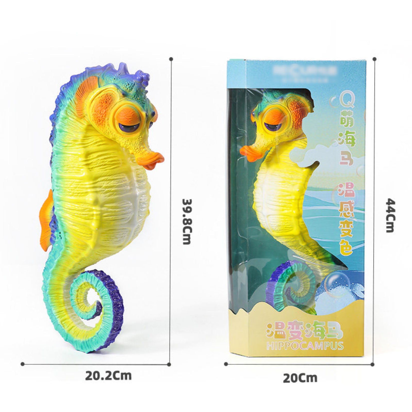 RECUR Hippocampus Ocean Animal Model