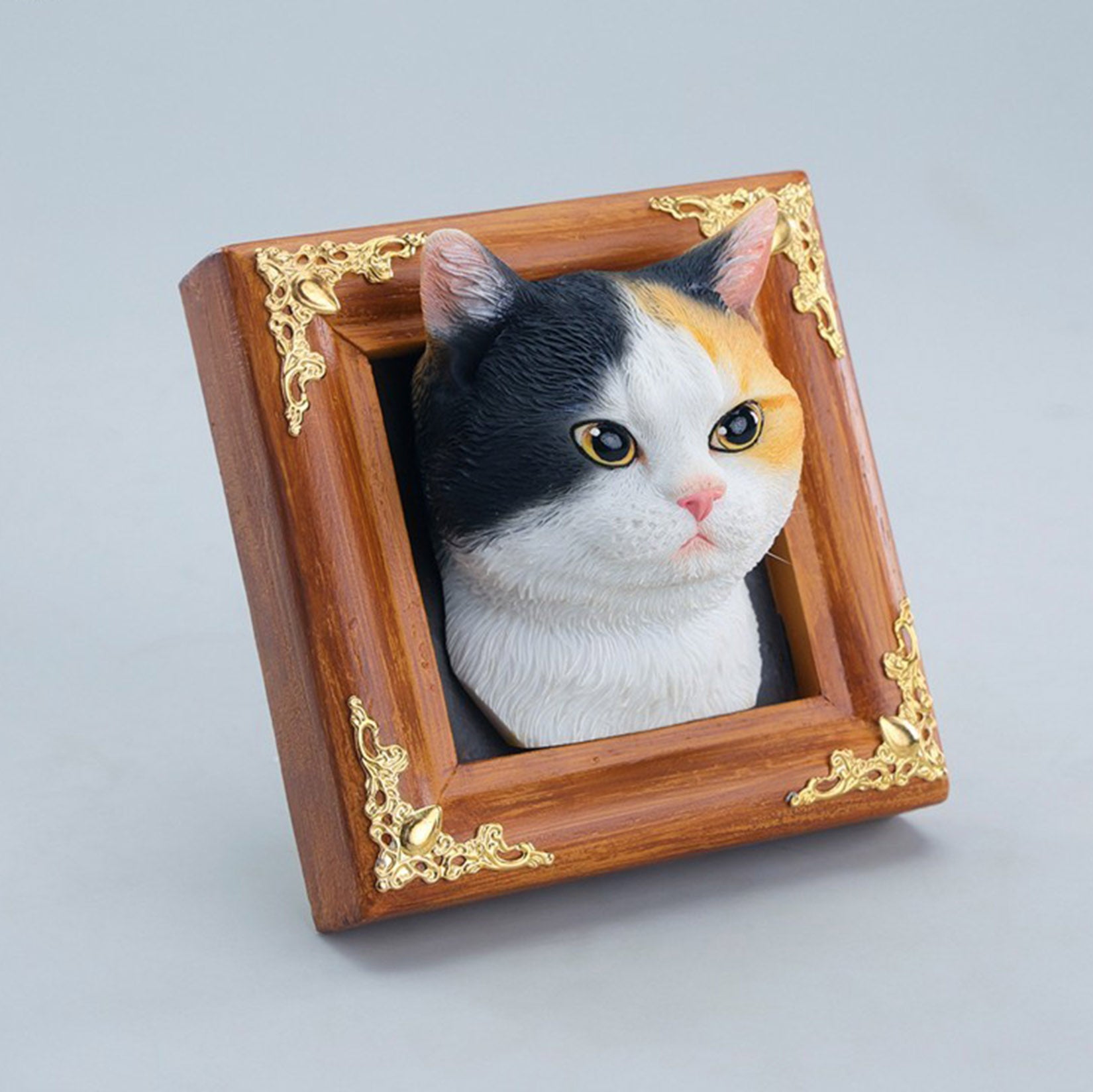 JXK Studio Gentle-eyed Country Cat Model