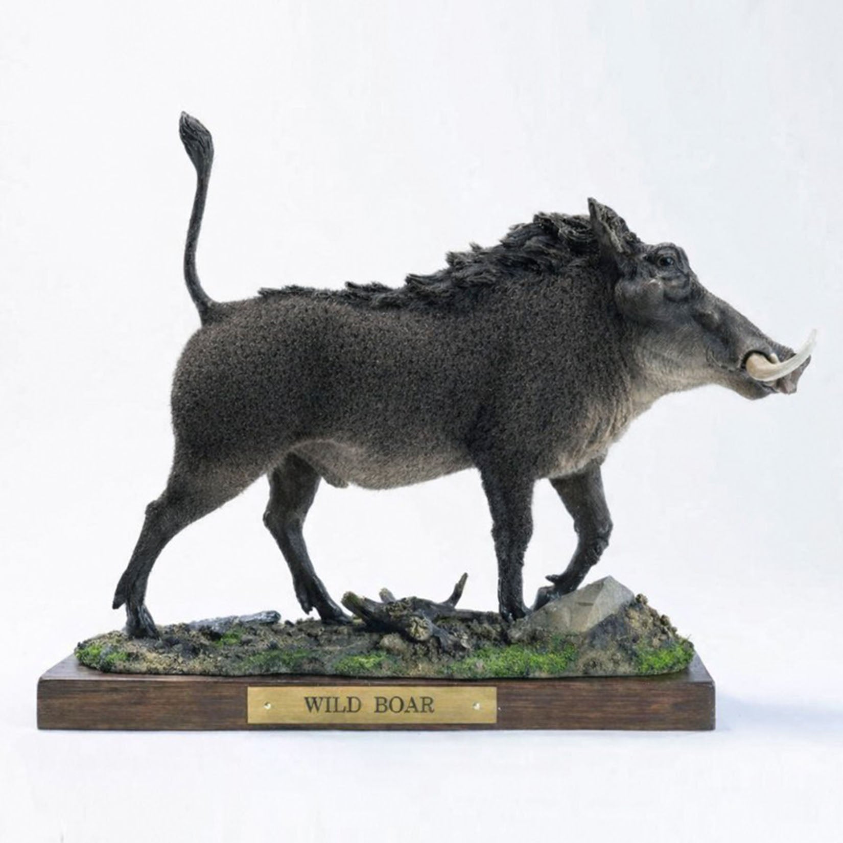 JXK Studio Warthog Animal Model